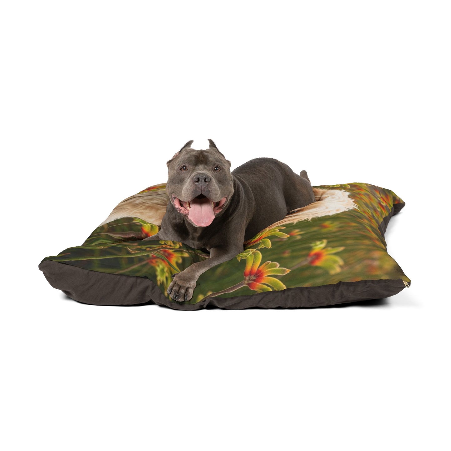Cavoodle Pet Bed