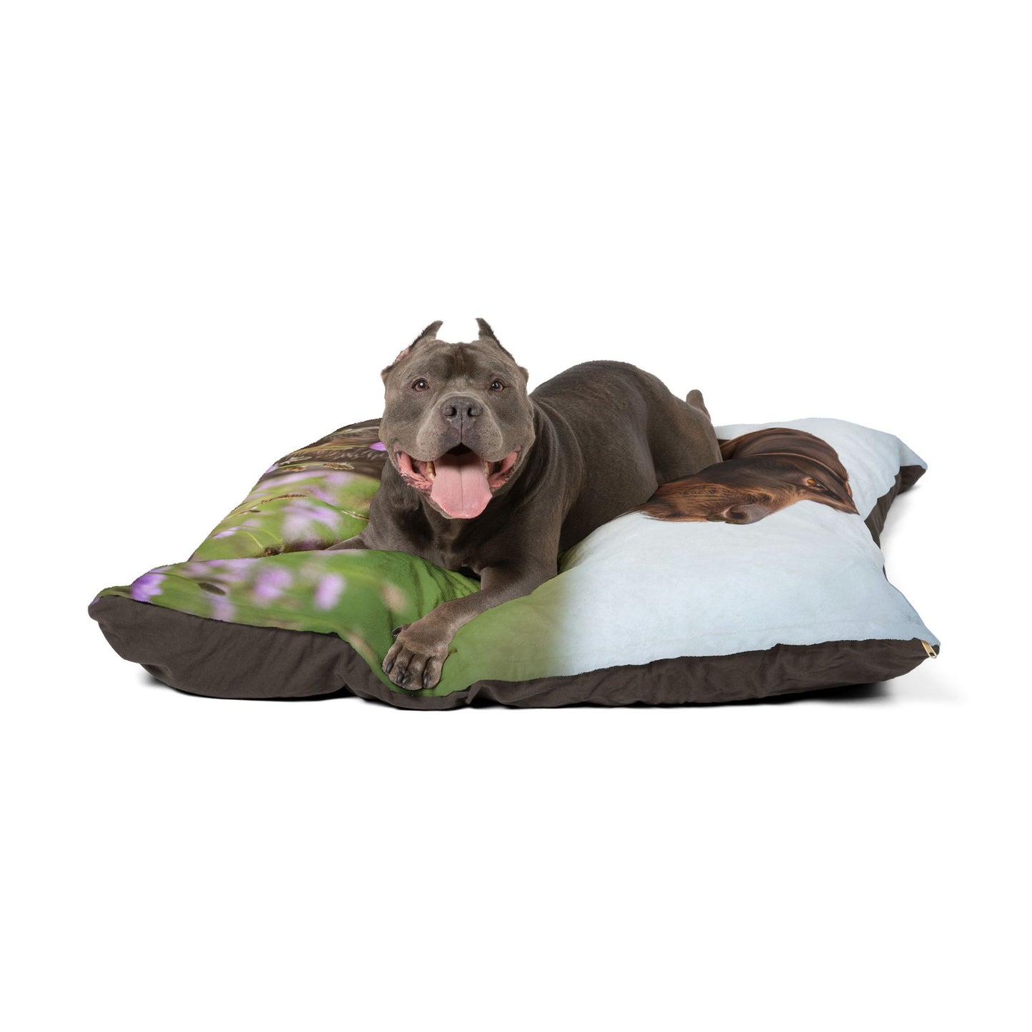 German Wirehaired Pointer Pet Bed
