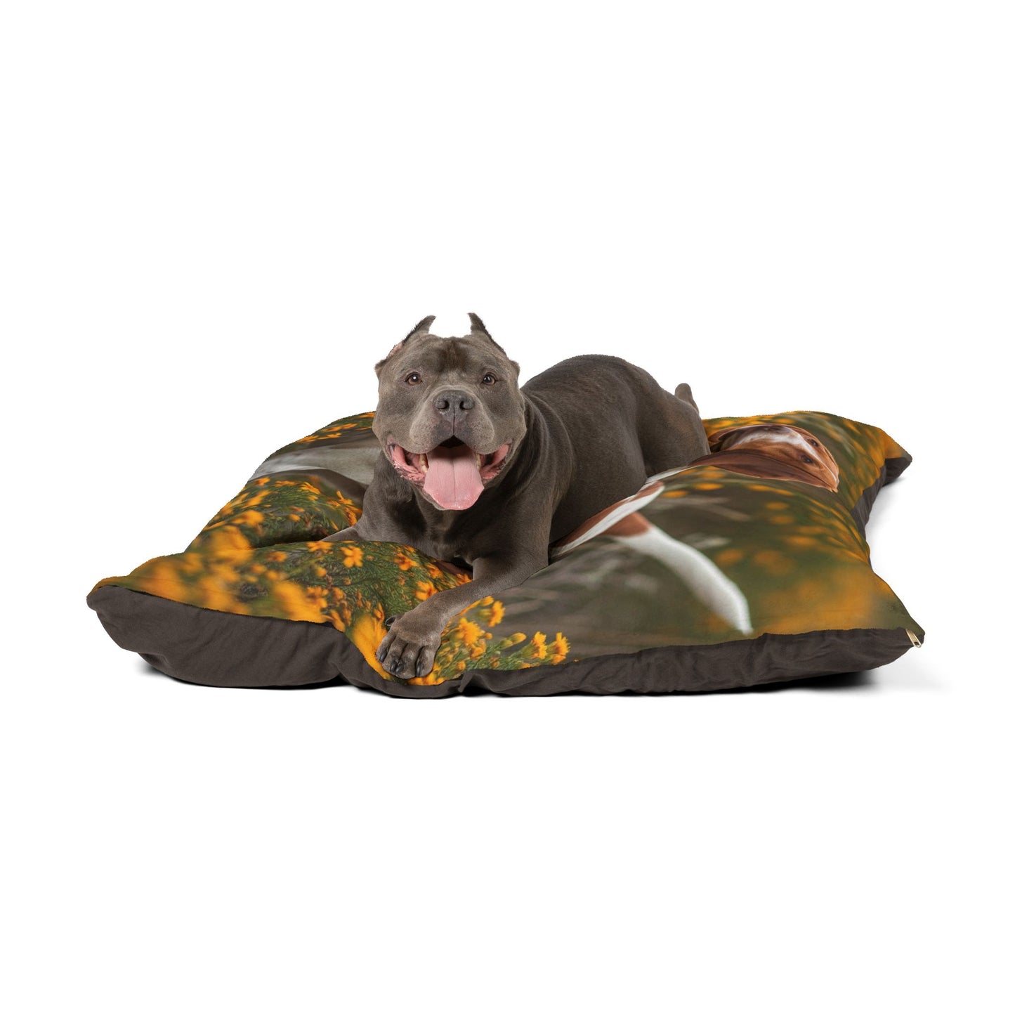 Portuguese Pointer Pet Bed