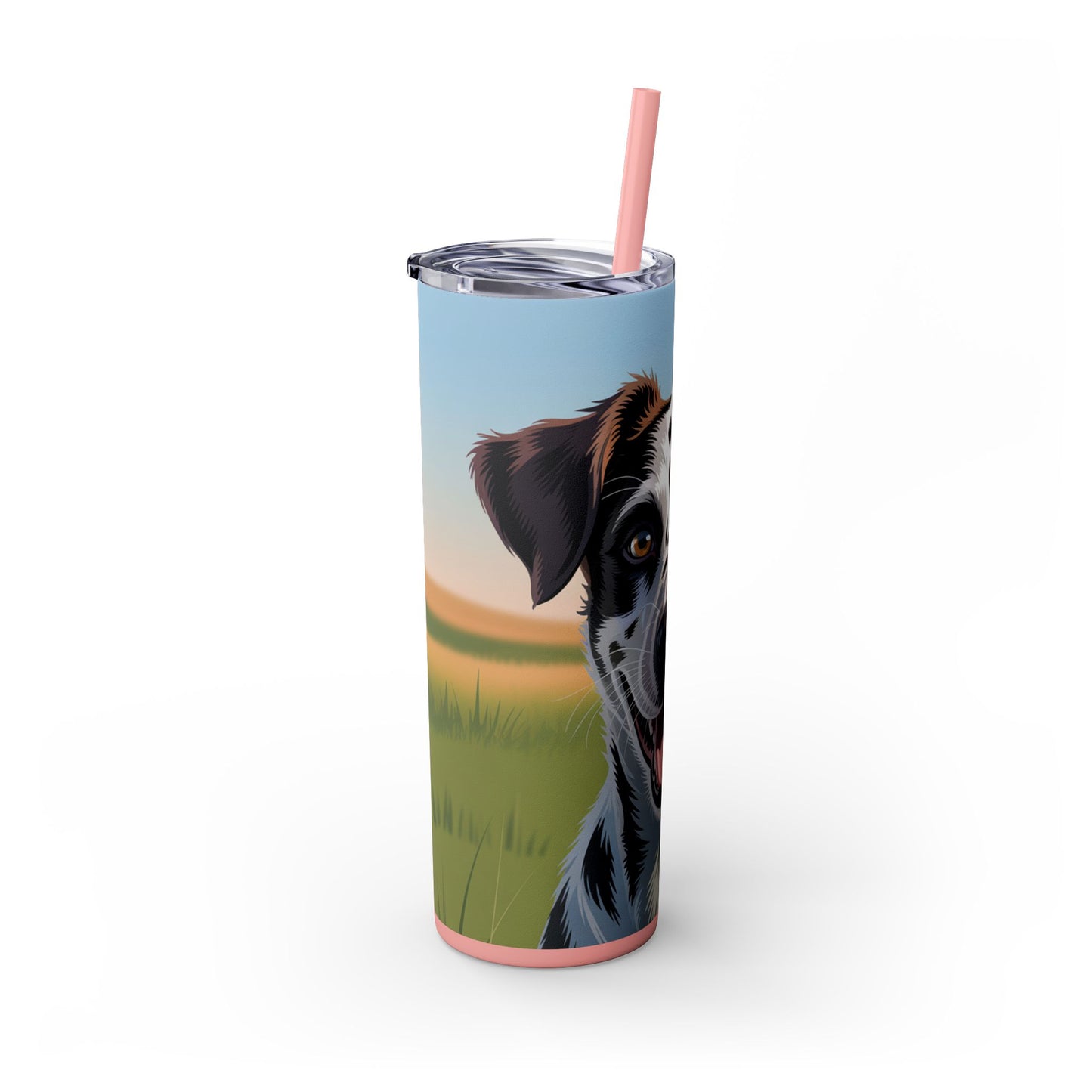 Telomian Skinny Tumbler with Straw, 20oz