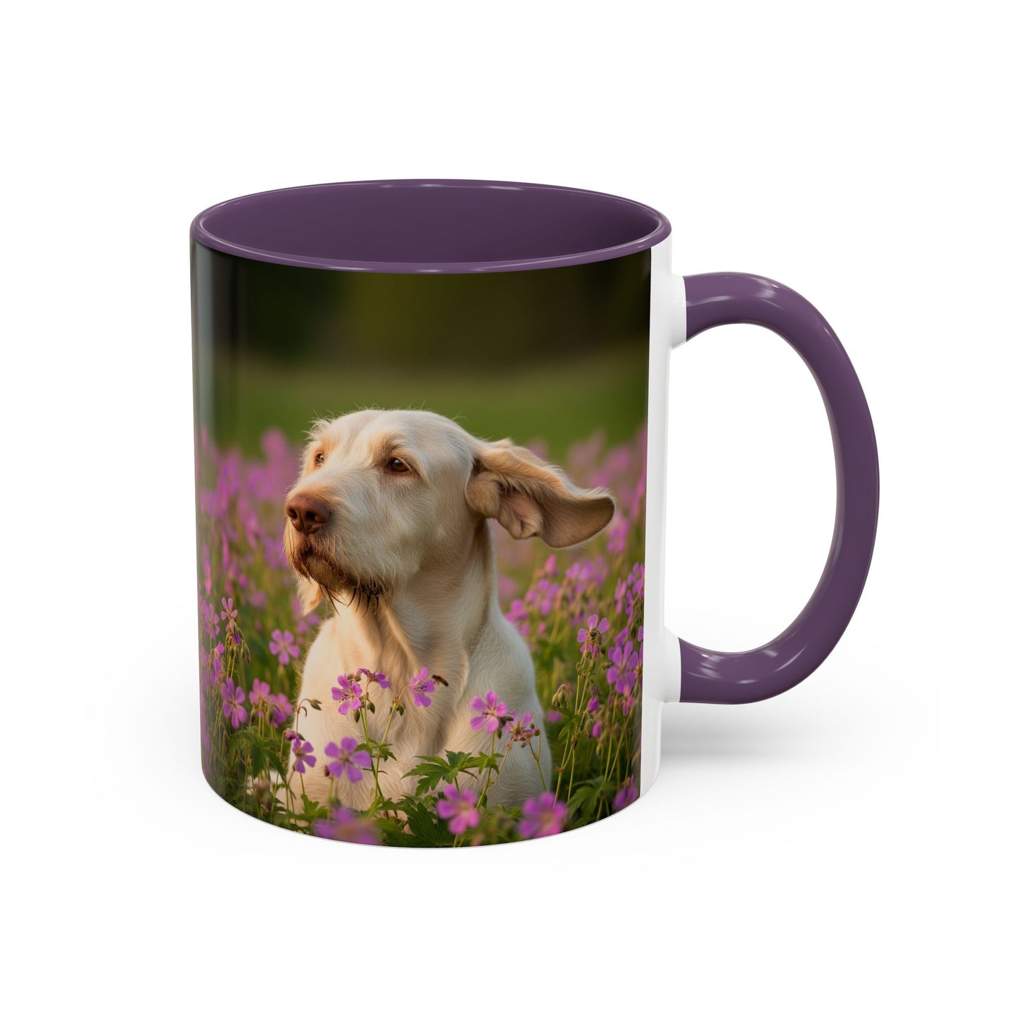 Spinone Italiano Accent Coffee Mug - Perfect Gift for Dog Lovers