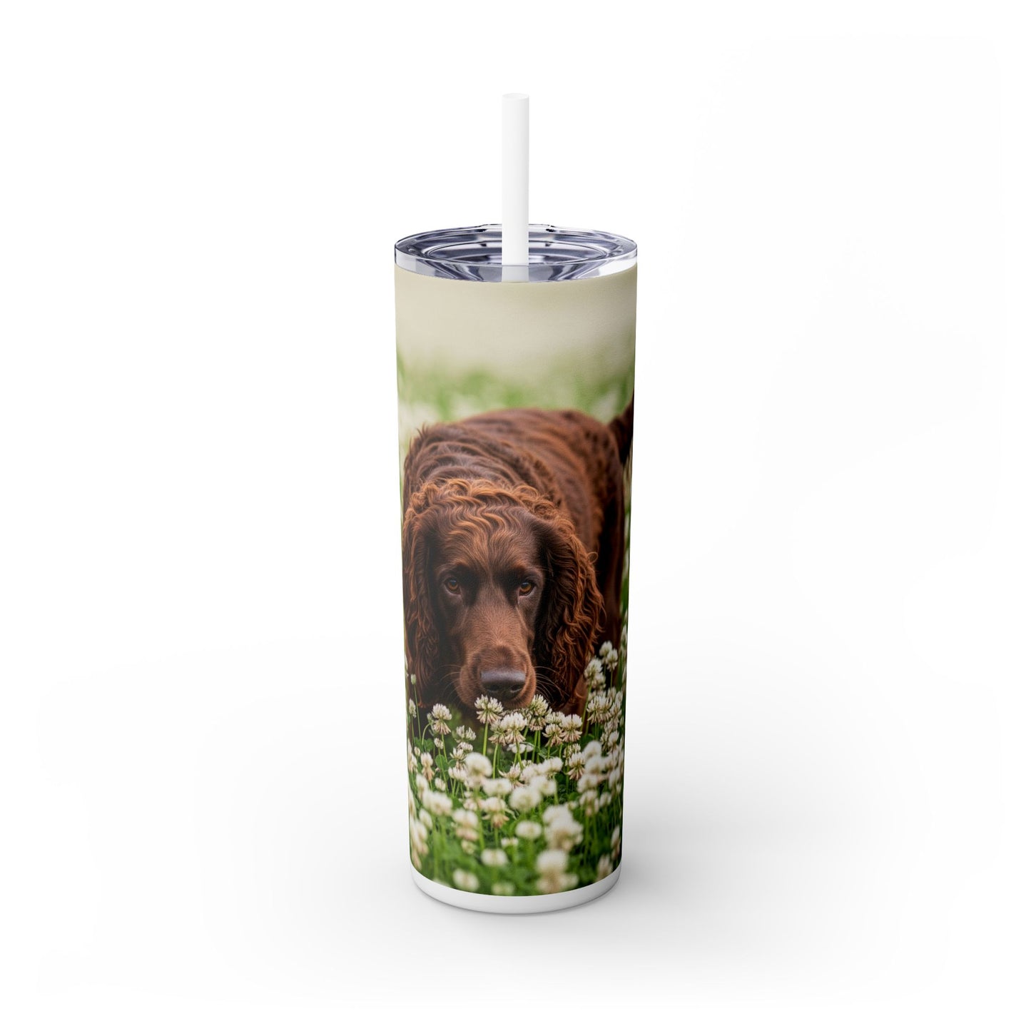 Irish Water Spaniel Tumbler with Straw, 20oz
