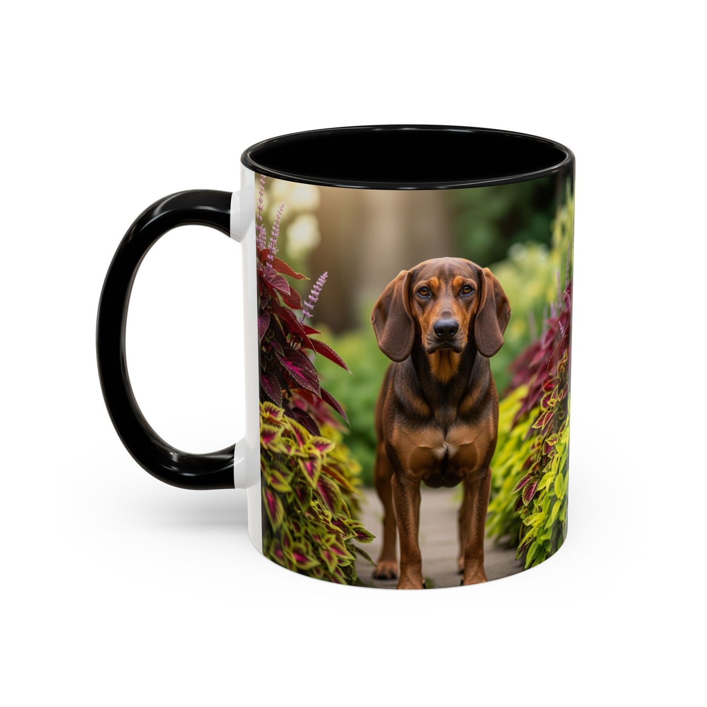 Hamiltonstovare Accent Coffee Mug - Perfect Gift for Dog Lovers