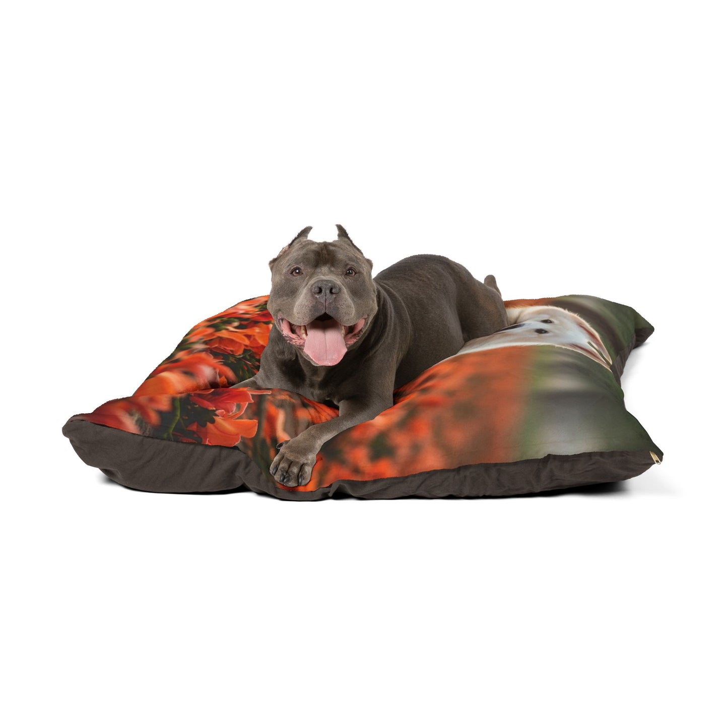 Indian Spitz Pet Bed