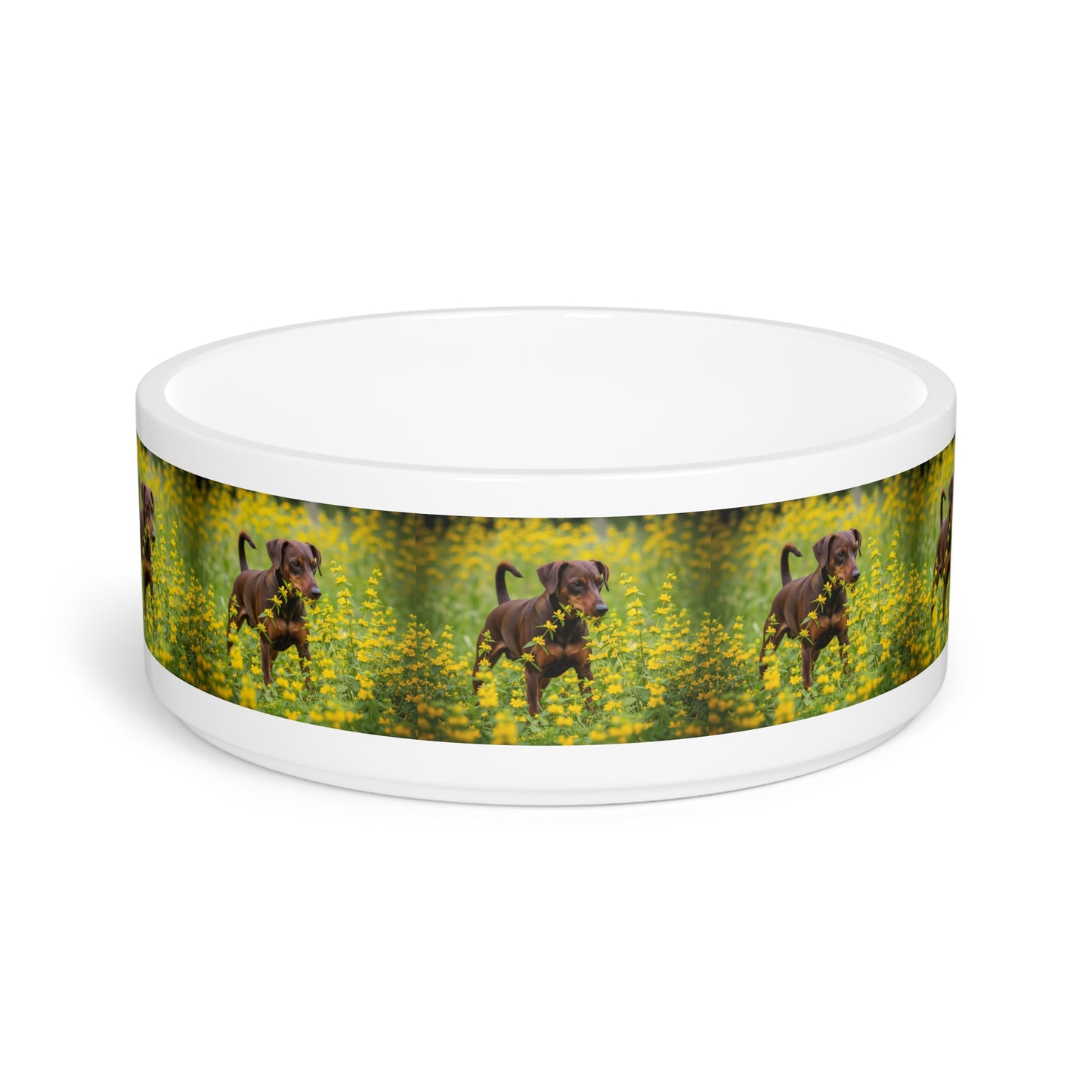 German Pinscher Pet Bowl