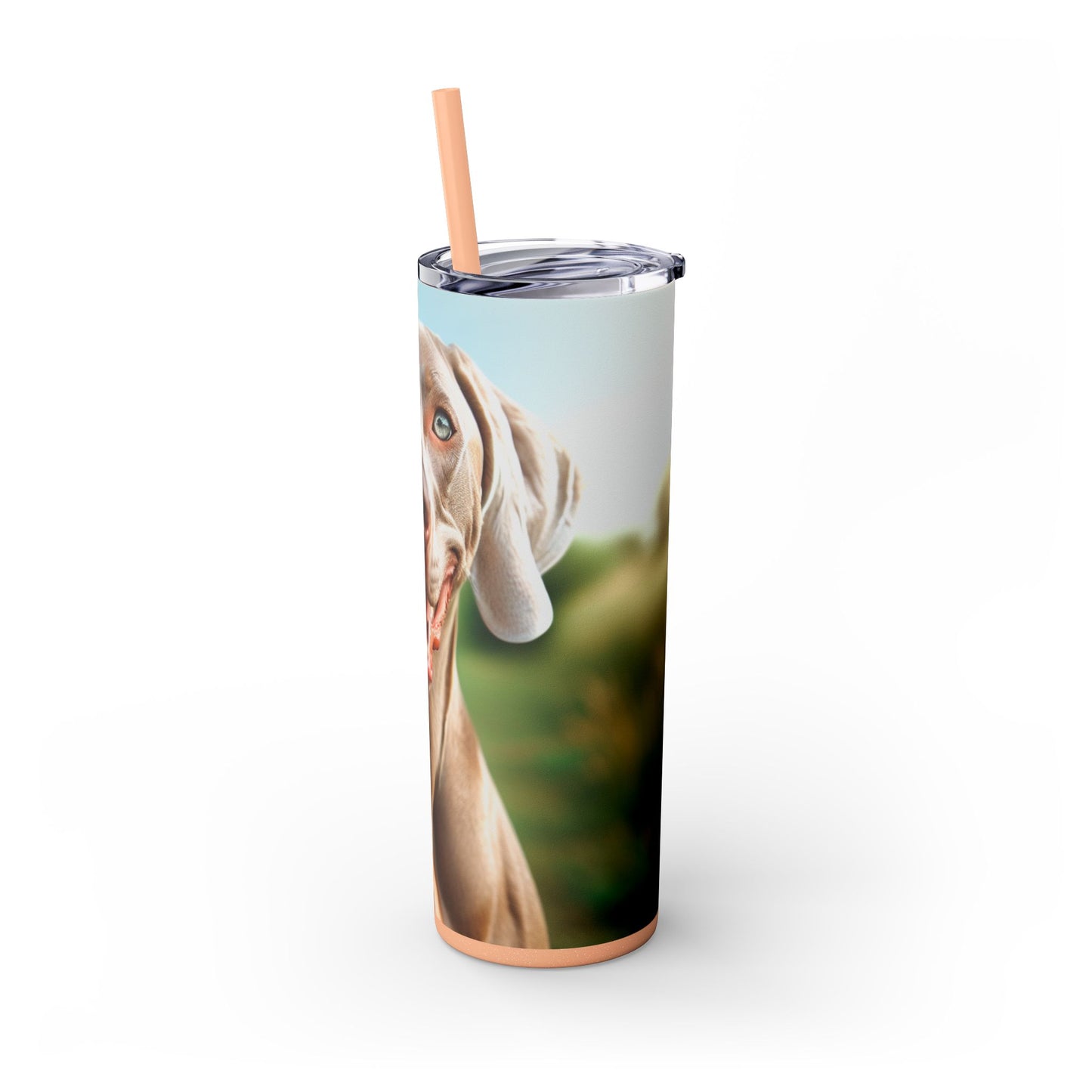 Weimaraner Skinny Tumbler with Straw, 20oz