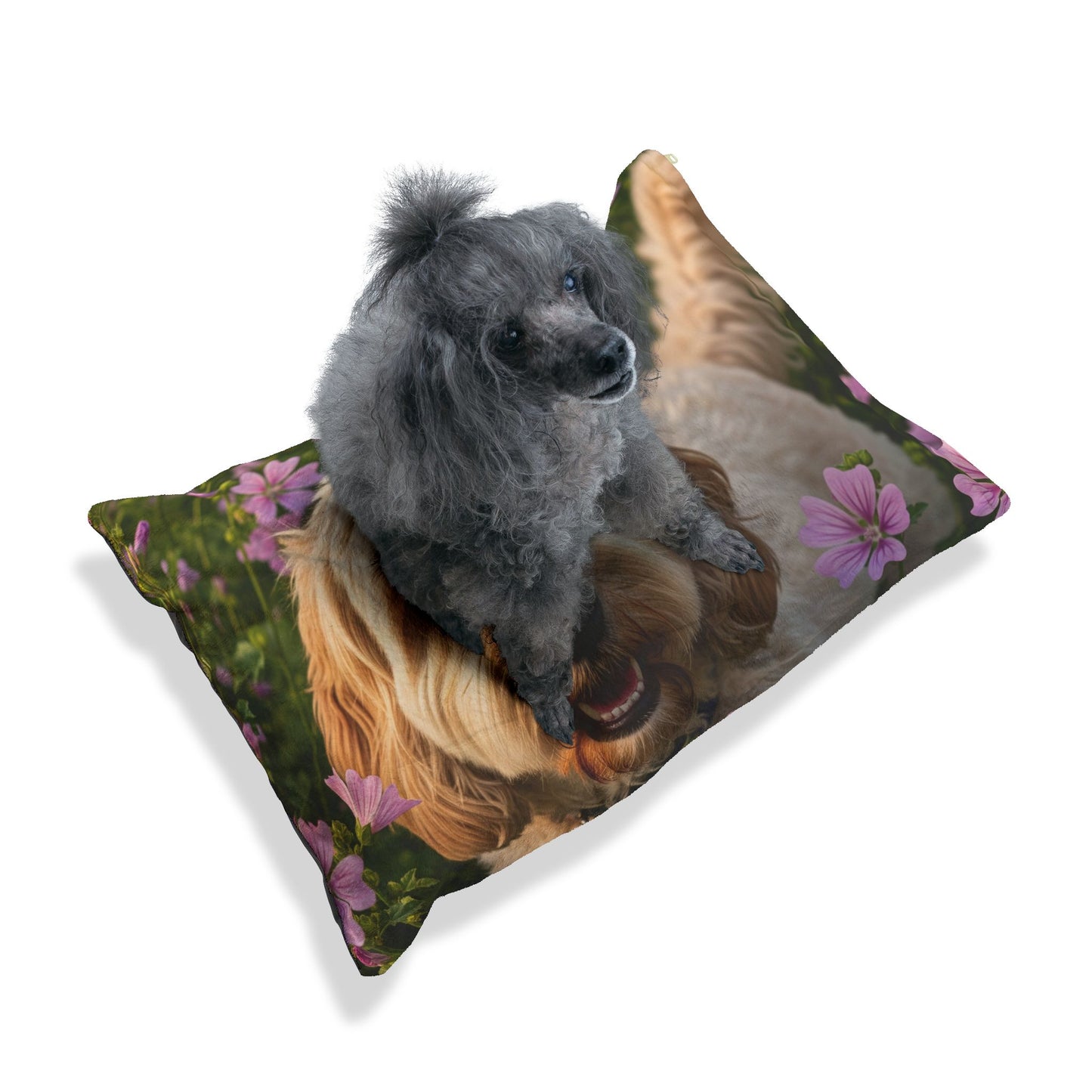 Cockapoo Pet Bed