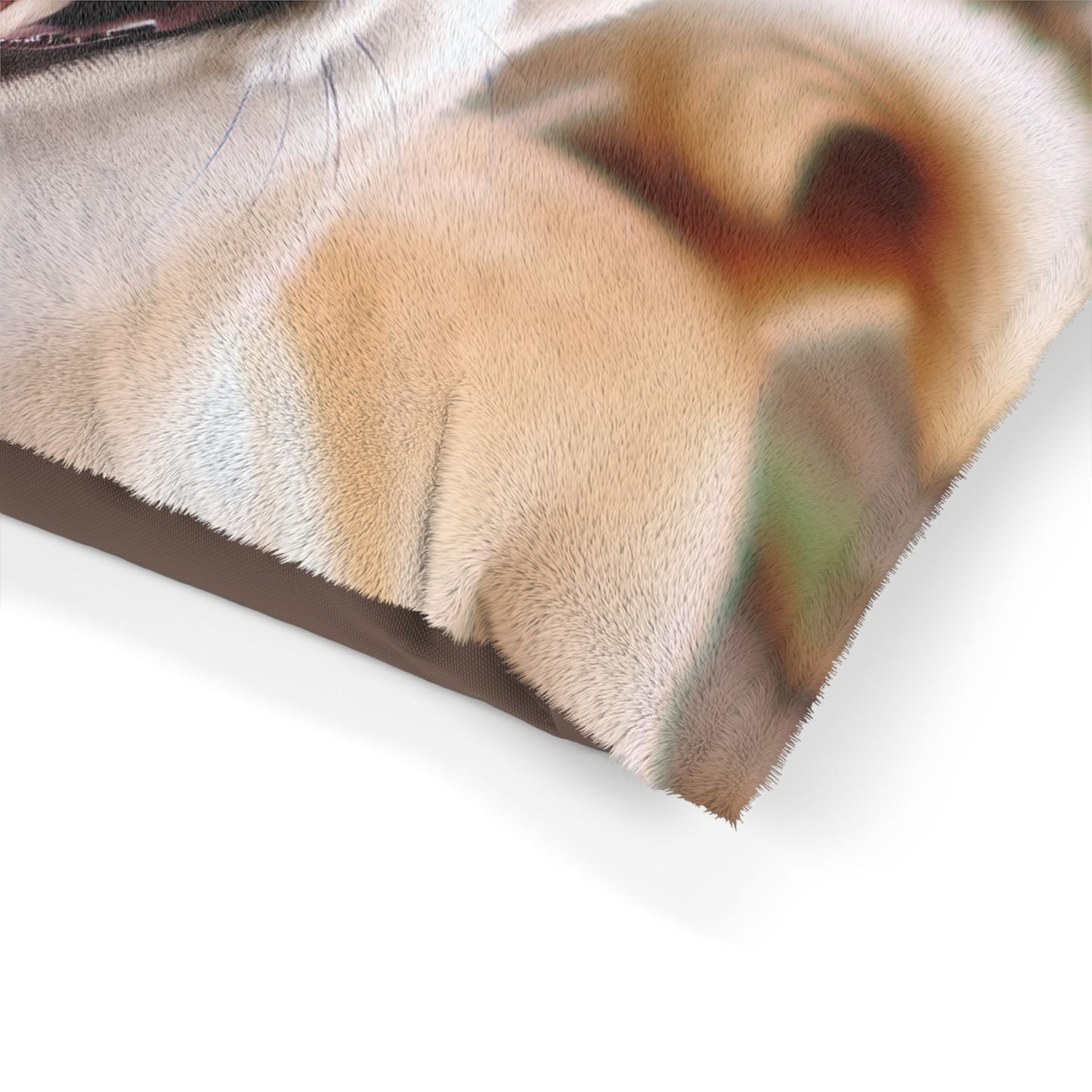 Korean Jindo Dog Pet Bed