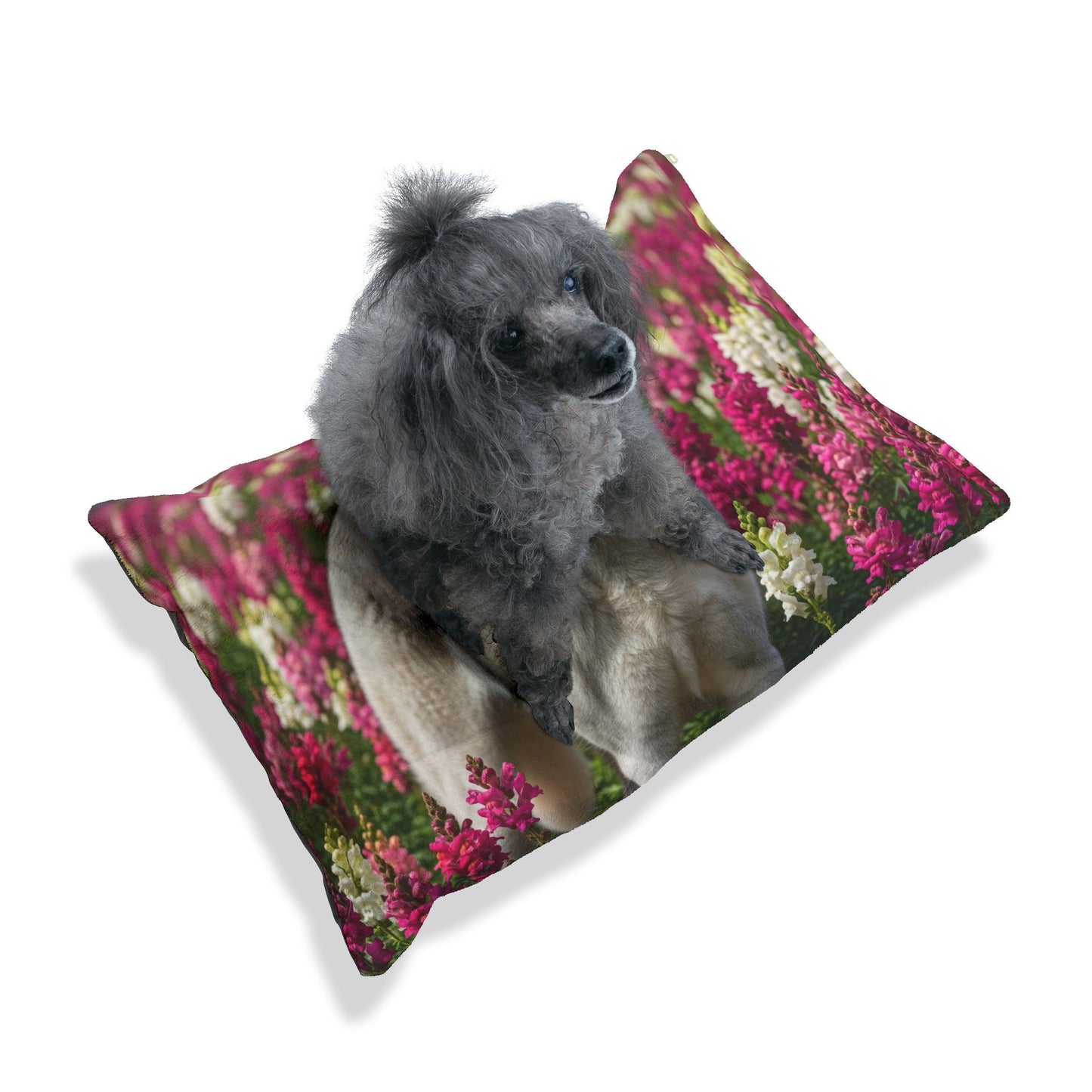 Estrela Mountain Dog Pet Bed