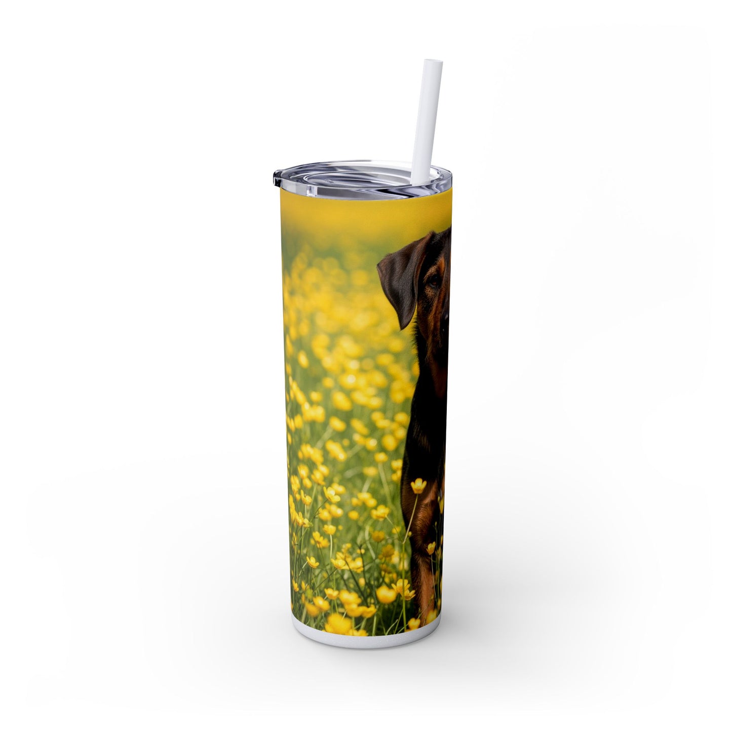 Drever Tumbler with Straw, 20oz