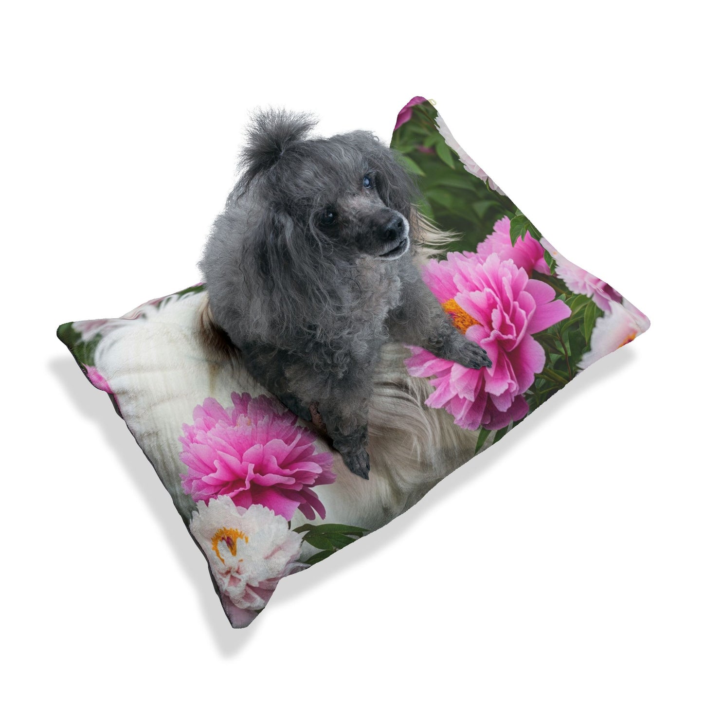 Tibetan Spaniel Pet Bed