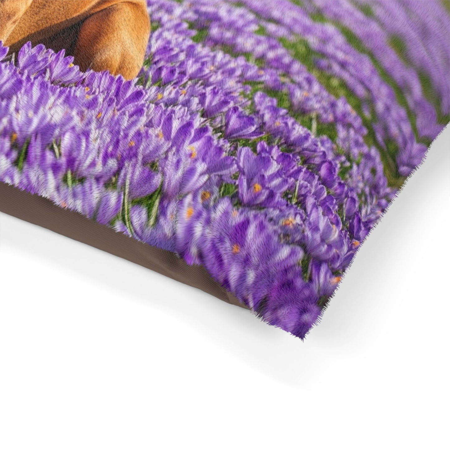 Vizsla Pet Bed