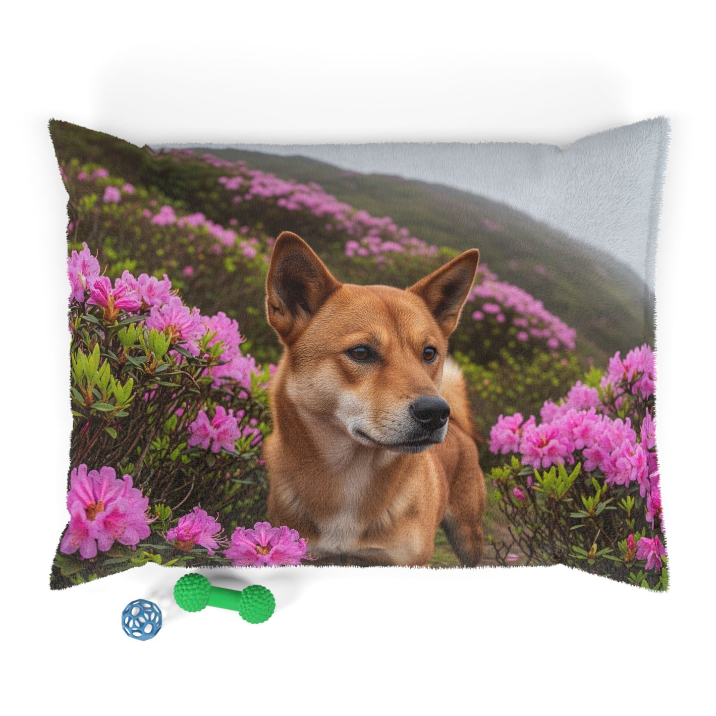 Taiwan Dog Pet Bed