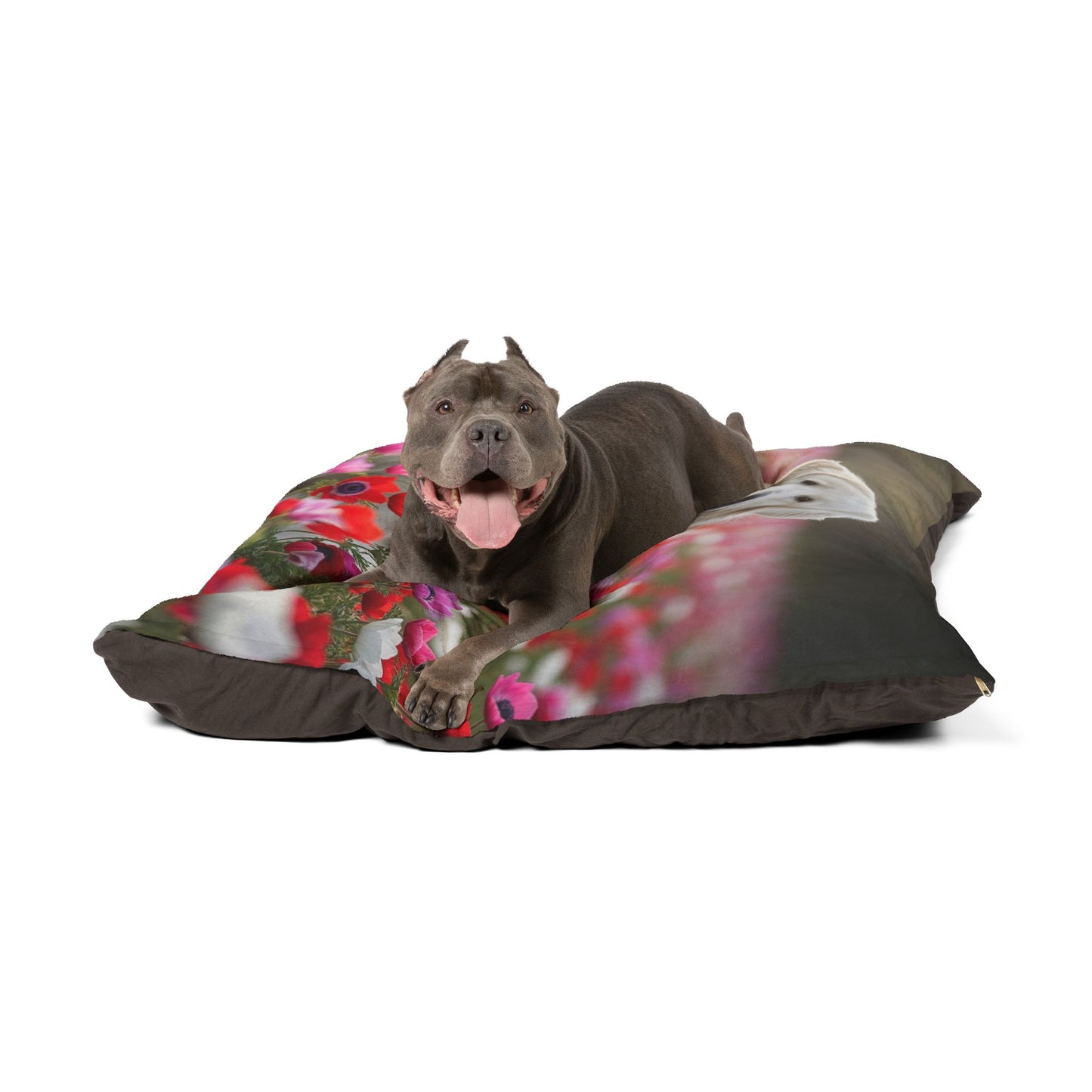 Maremma Sheepdog Pet Bed