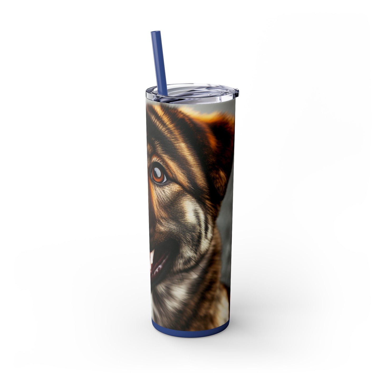 Kai Ken Tumbler with Straw, 20oz