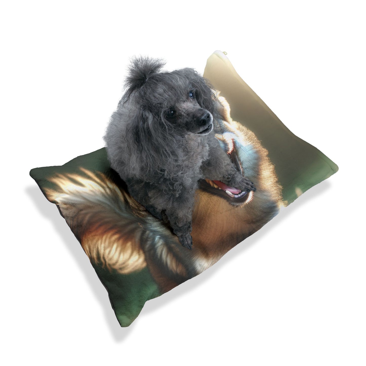 Calupoh Pet Bed