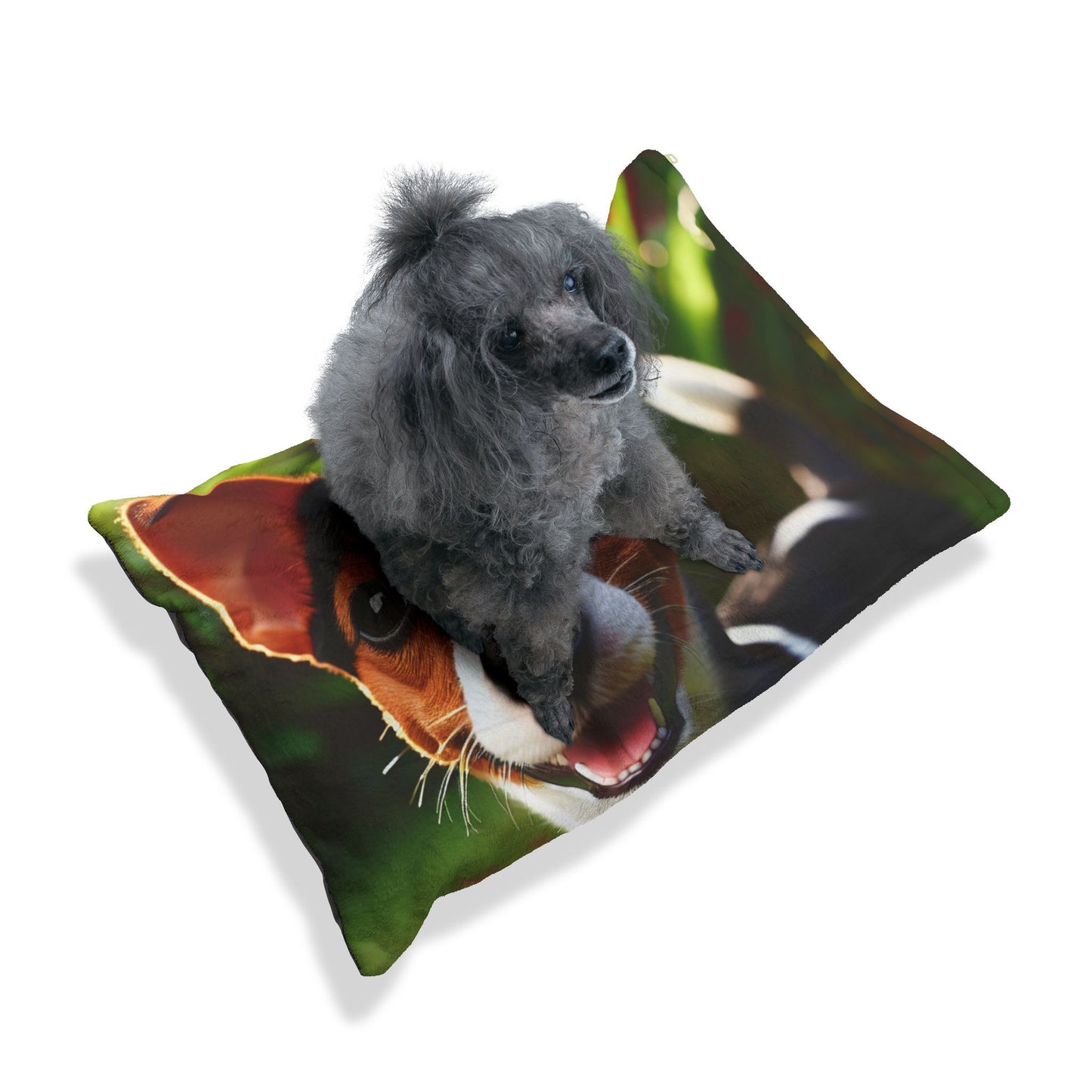 Brazilian Terrier Pet Bed
