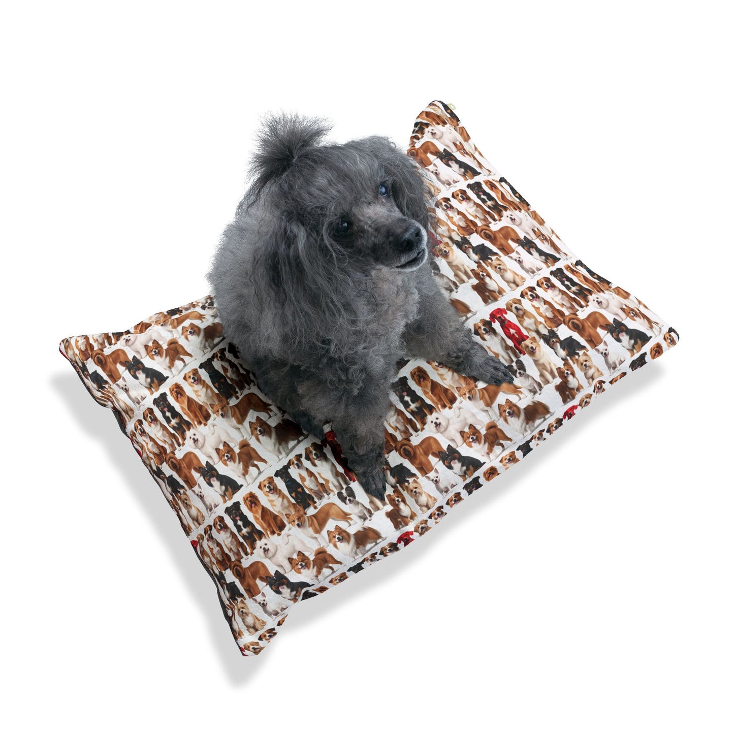 Hundreds of Dogs Pet Bed