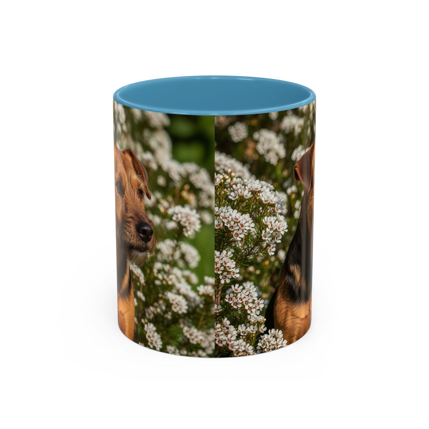 Tenterfield Terrier Accent Coffee Mug - Perfect Gift for Dog Lovers