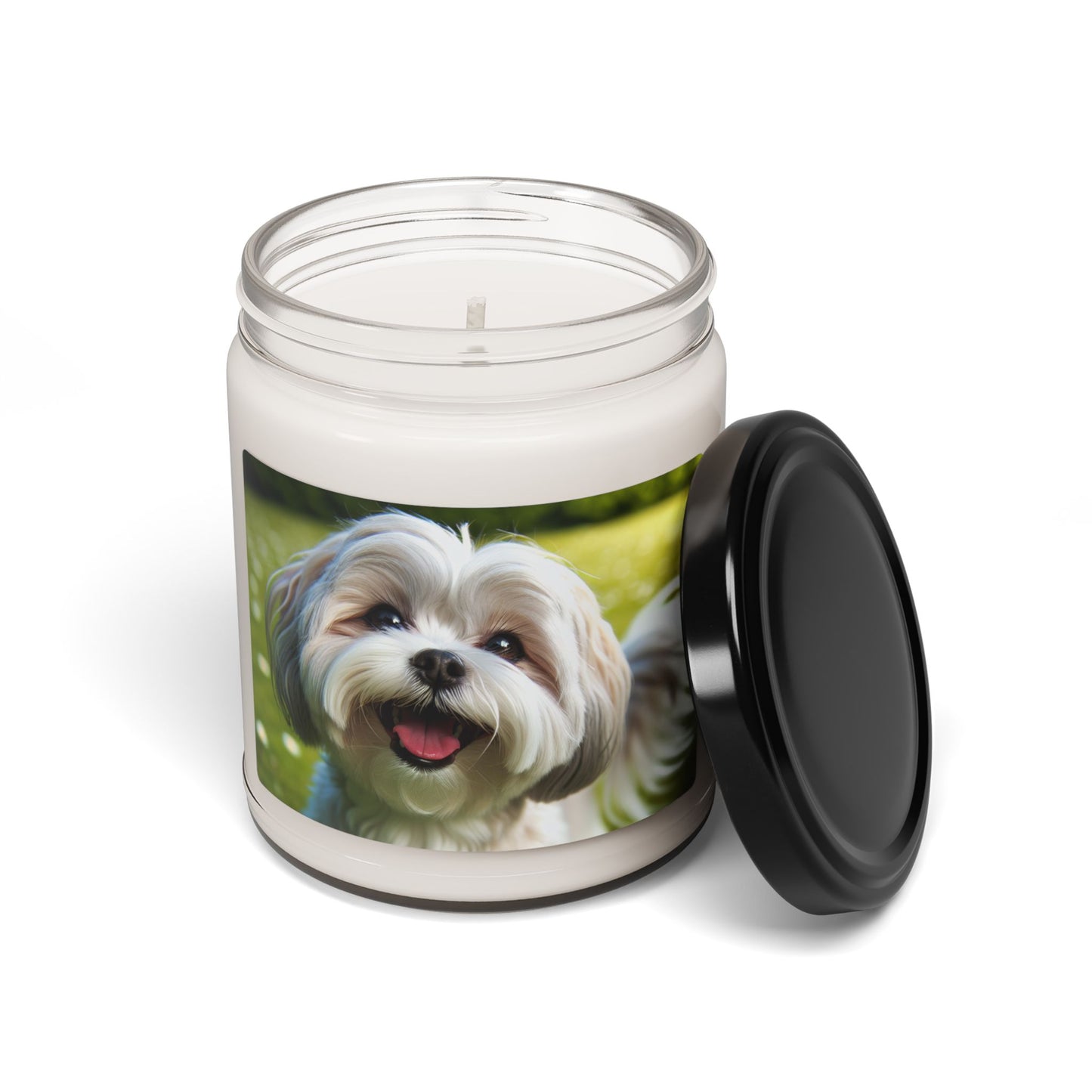 Shihmalt- Scented Soy Candle, 9oz