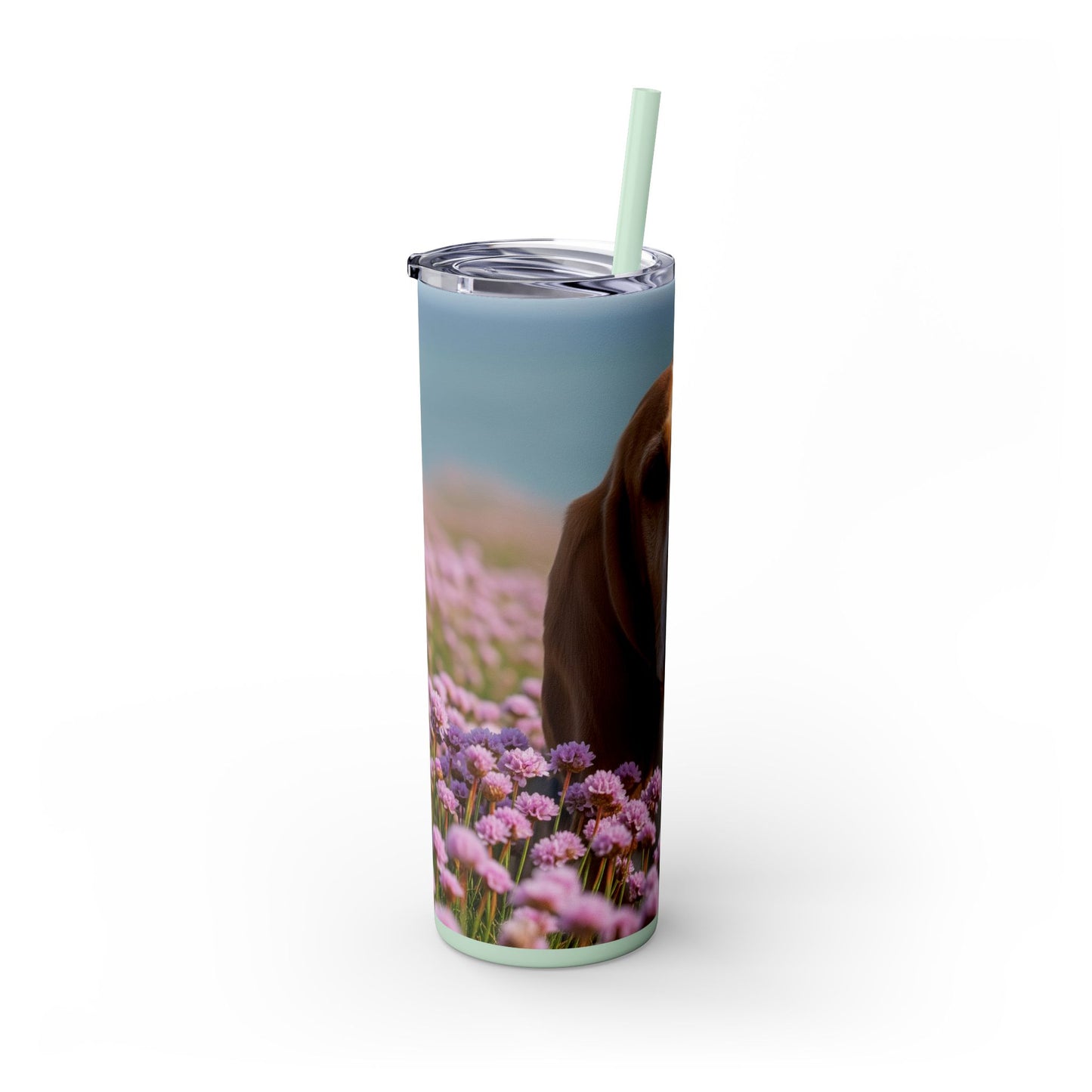 Basset Fauve de Bretagne Skinny Tumbler with Straw, 20oz