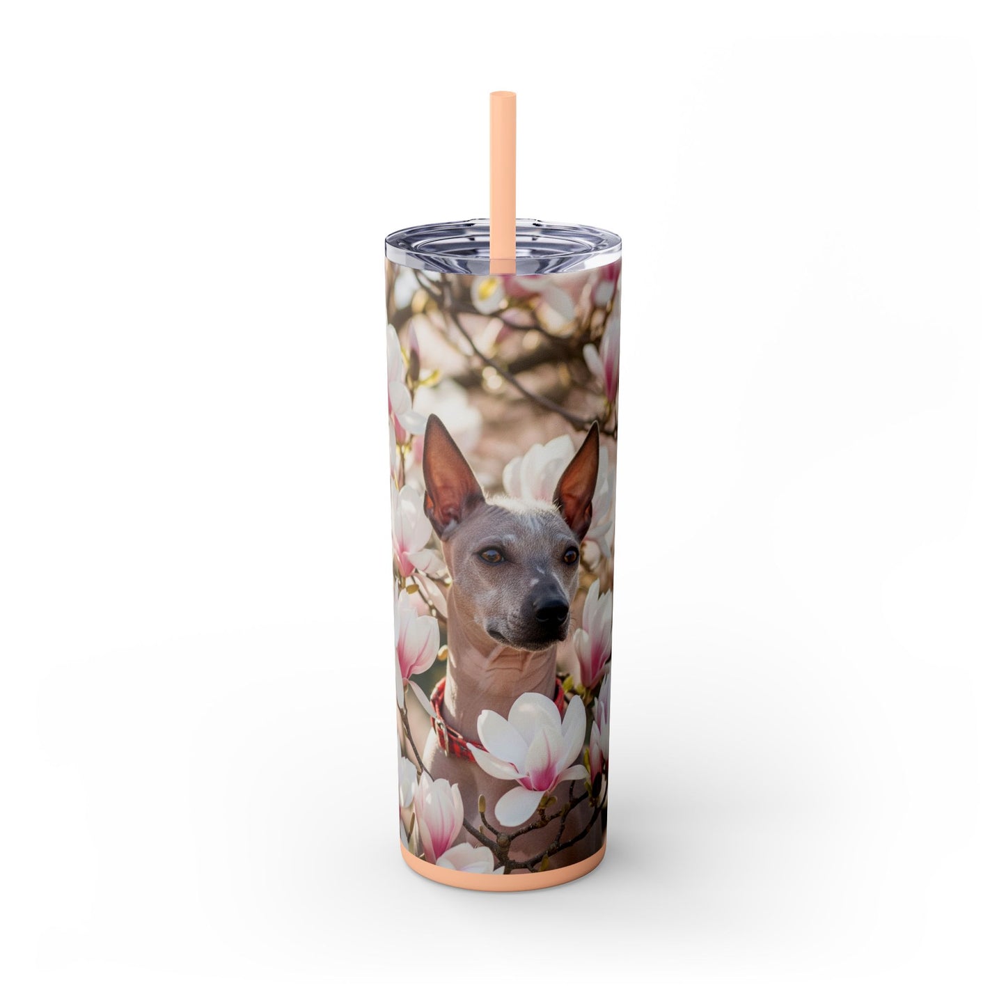 American Hairless Terrier Skinny Tumbler with Straw, 20oz