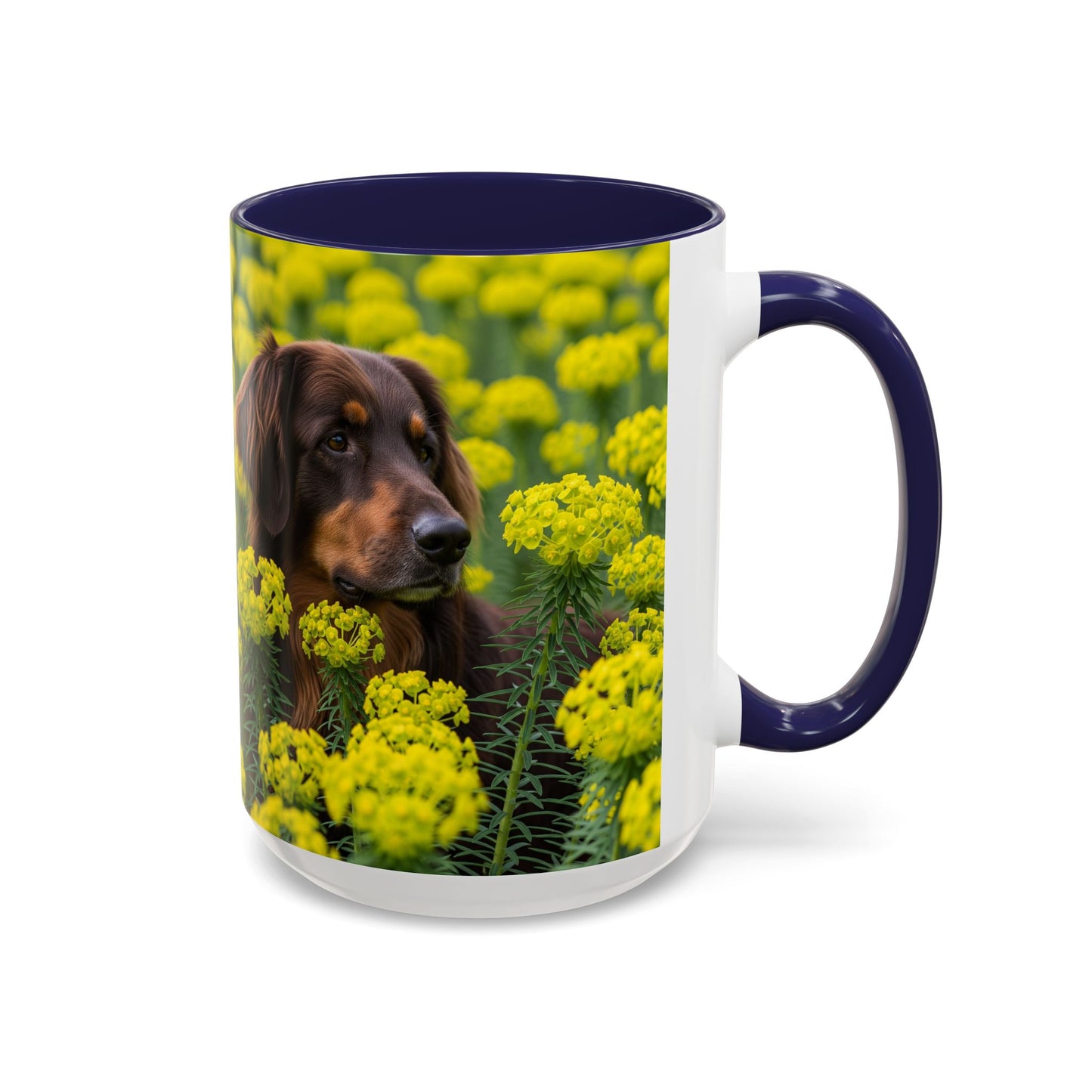 Hovawart Accent Coffee Mug - Perfect Gift for Dog Lovers