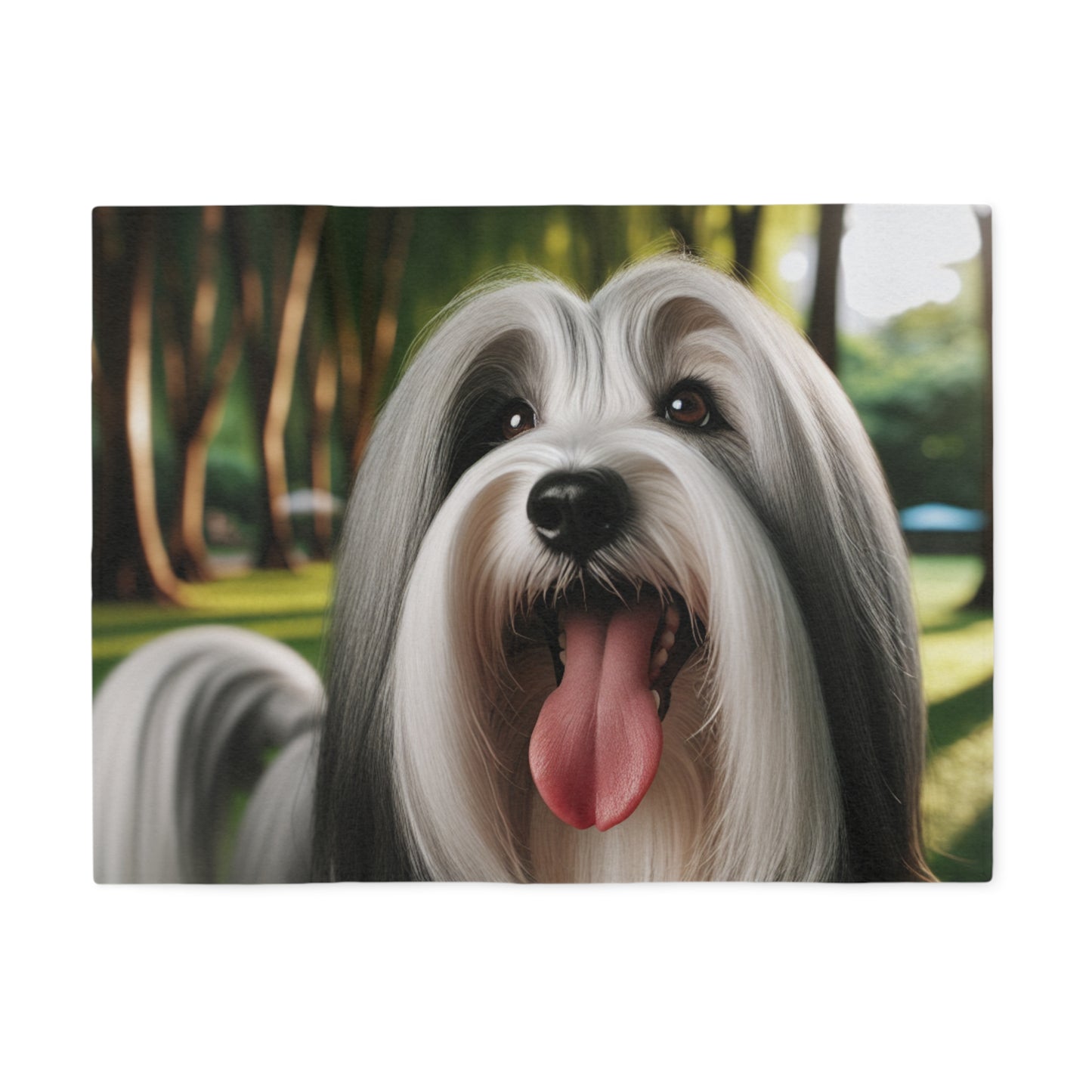 Tibetan Terrier Sweatshirt Blanket