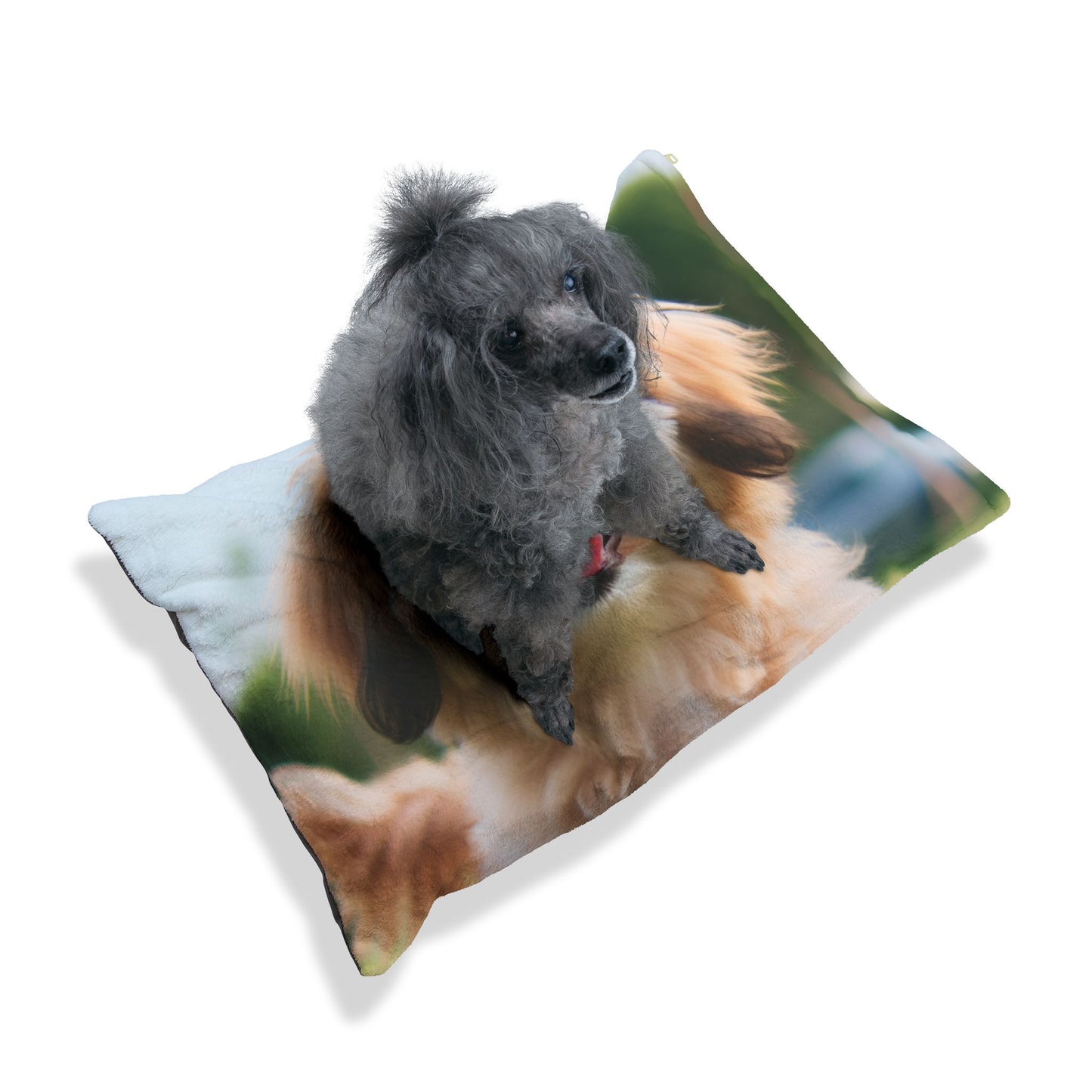 Pekapoo Pet Bed