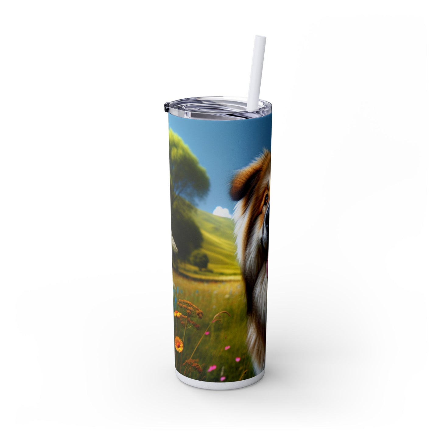 Bakharwal Tumbler with Straw, 20oz