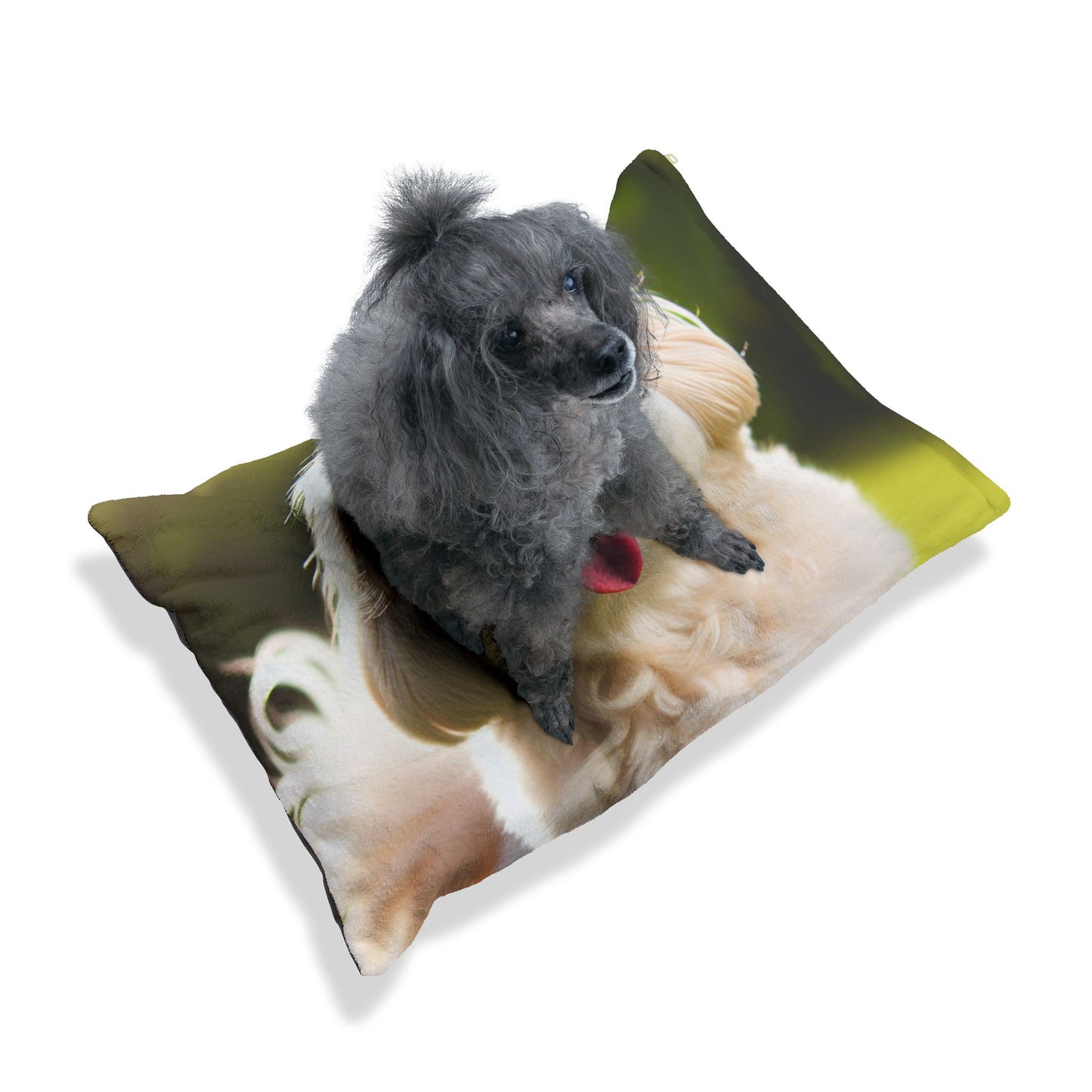 Havanese Pet Bed