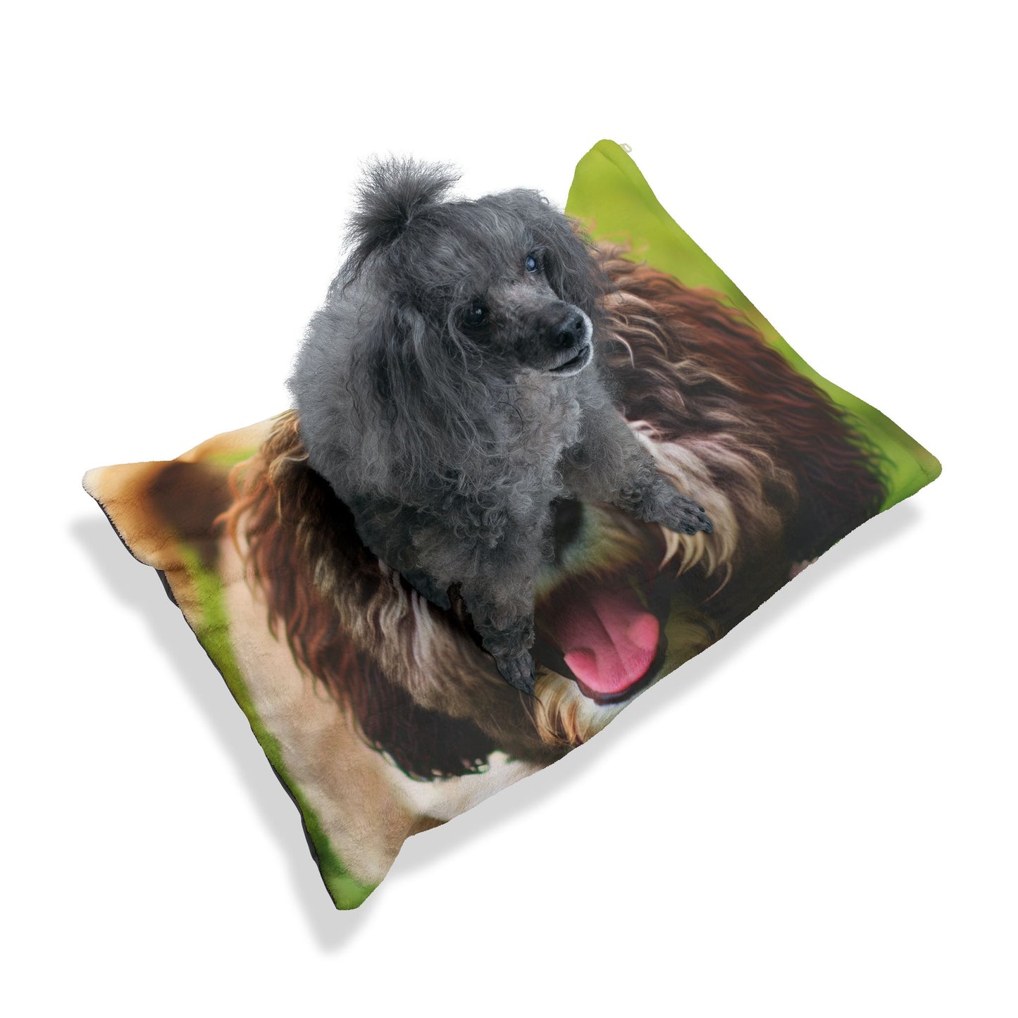 Spanish Water Dog Pet Bed