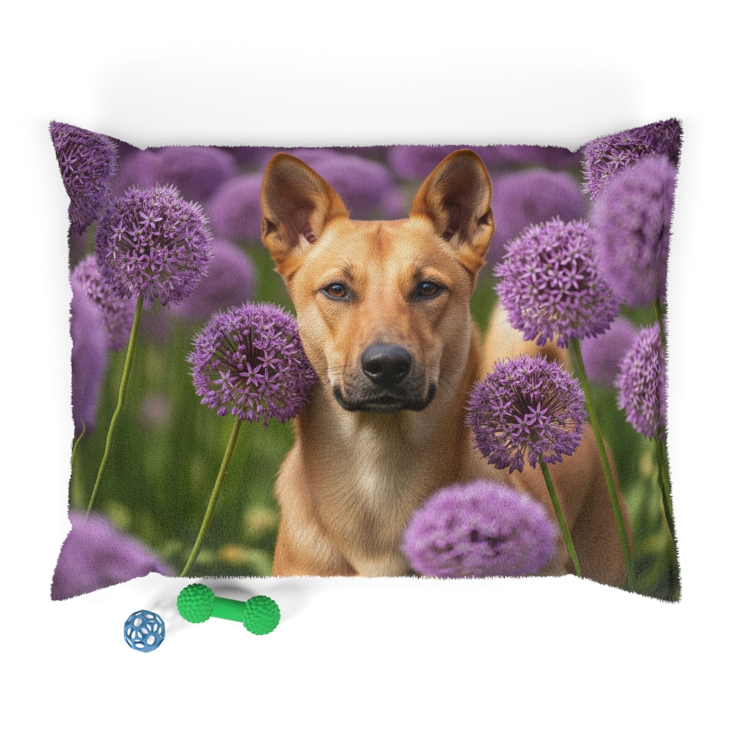 Canaan Dog Pet Bed