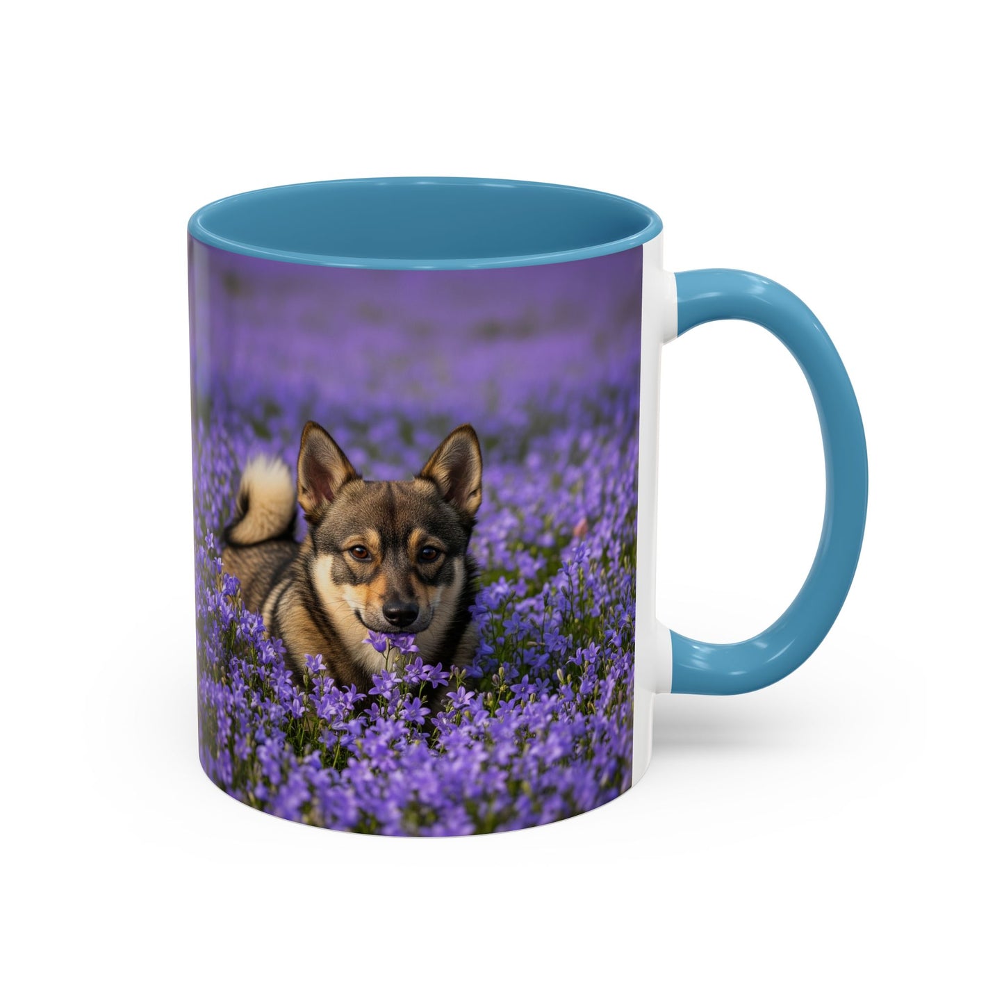Swedish Vallhund Accent Coffee Mug - Perfect Gift for Dog Lovers