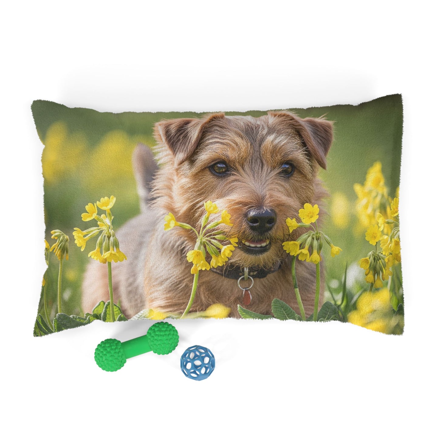 Norfolk Terrier Pet Bed