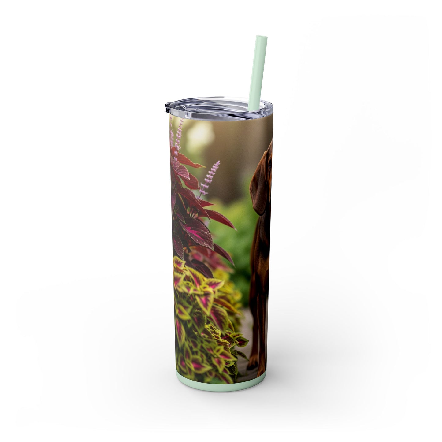 Hamiltonstovare Tumbler with Straw, 20oz