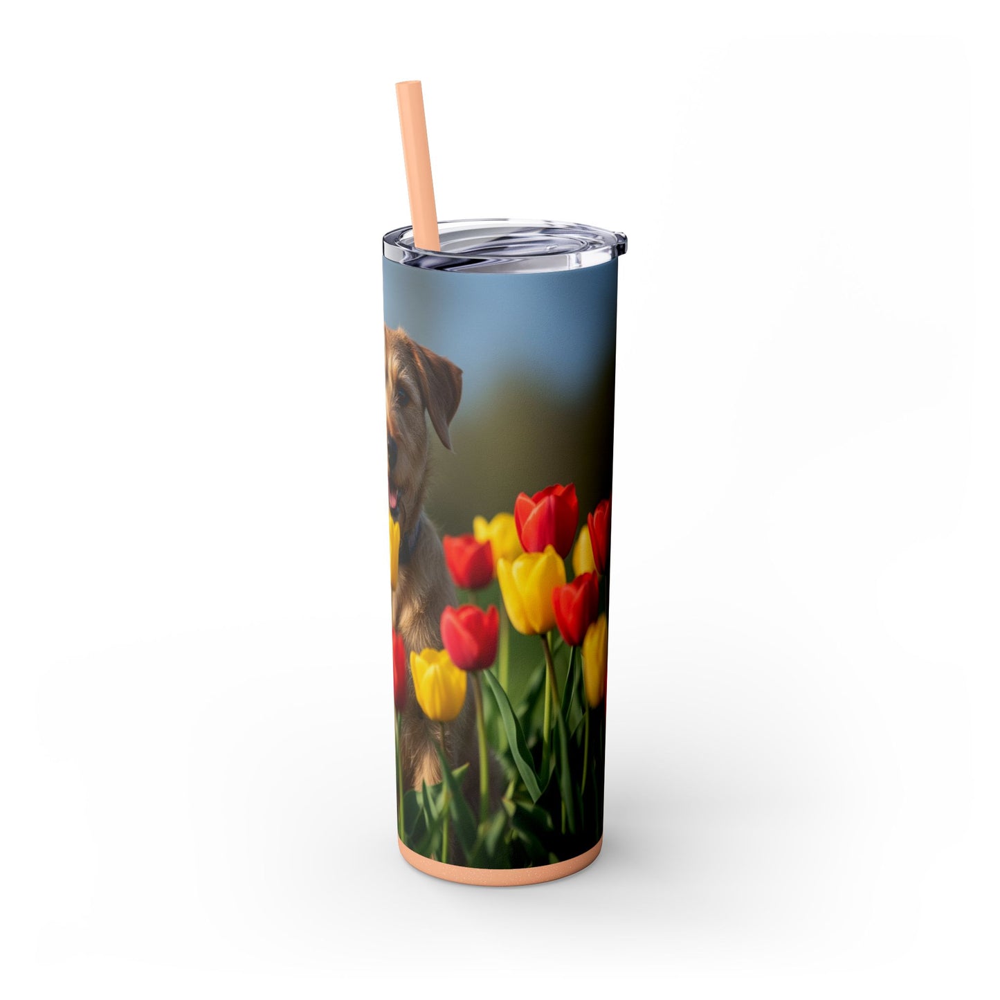 Pumi Skinny Tumbler with Straw, 20oz