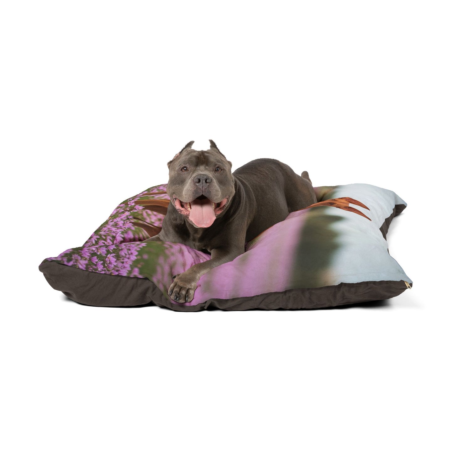 Pharaoh Hound Pet Bed