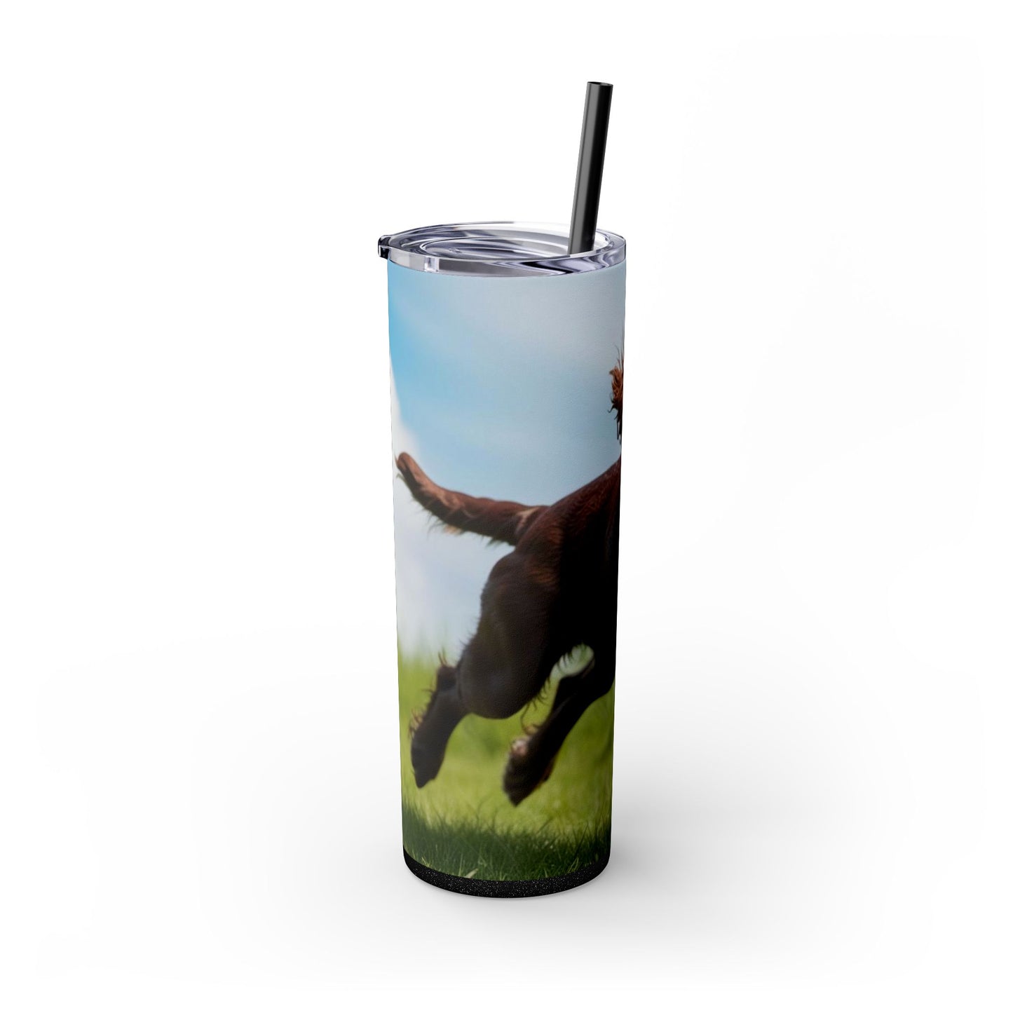 Irish Water Spaniel Tumbler with Straw, 20oz