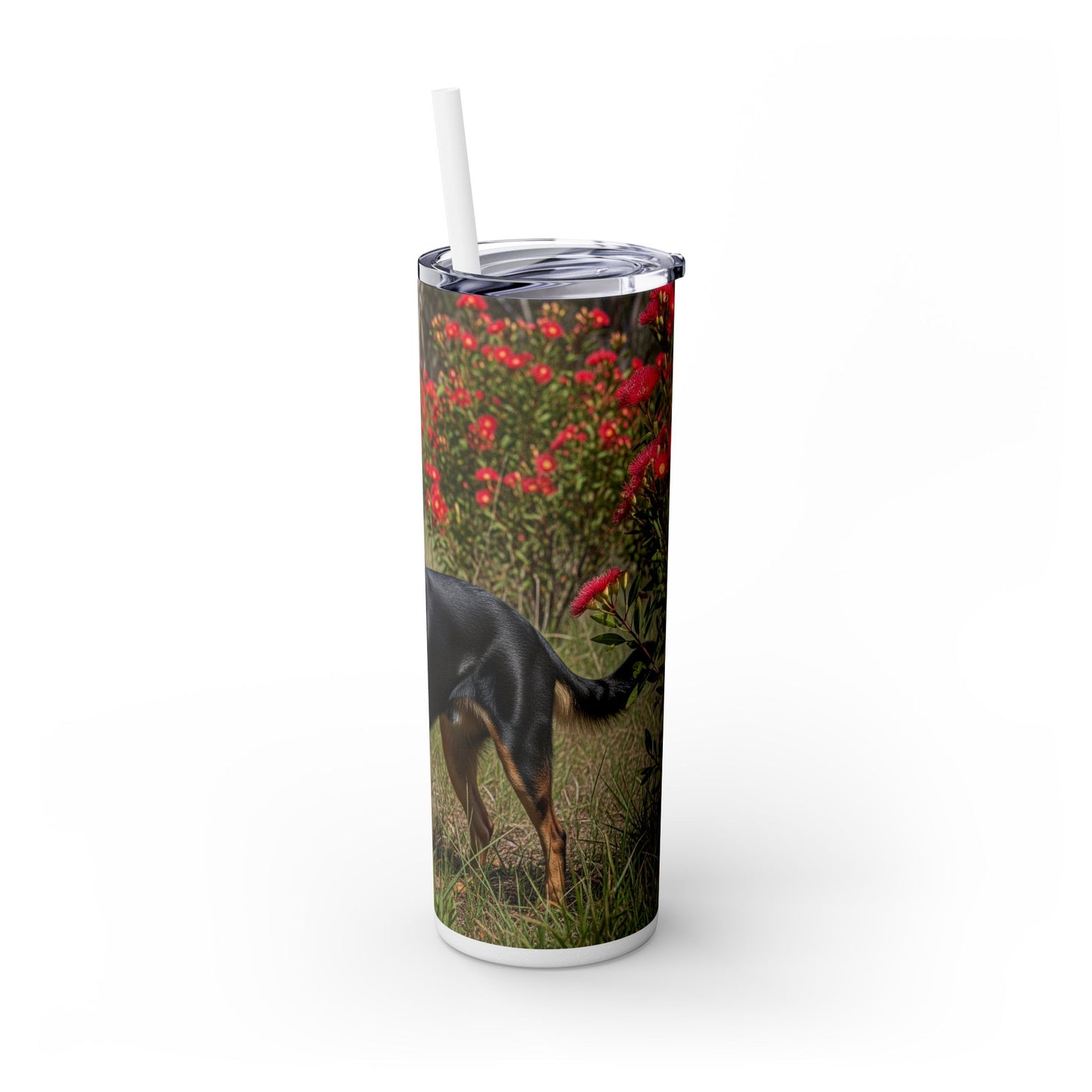Australian Kelpie Tumbler with Straw, 20oz