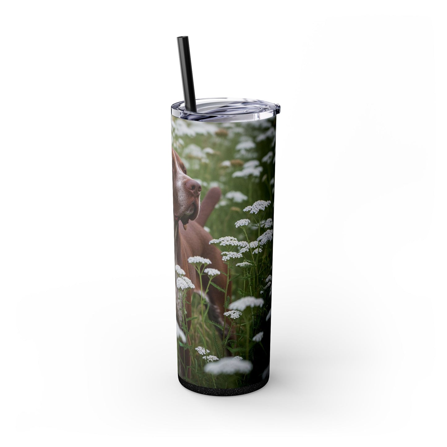 Braque du Bourbonnais Tumbler with Straw, 20oz