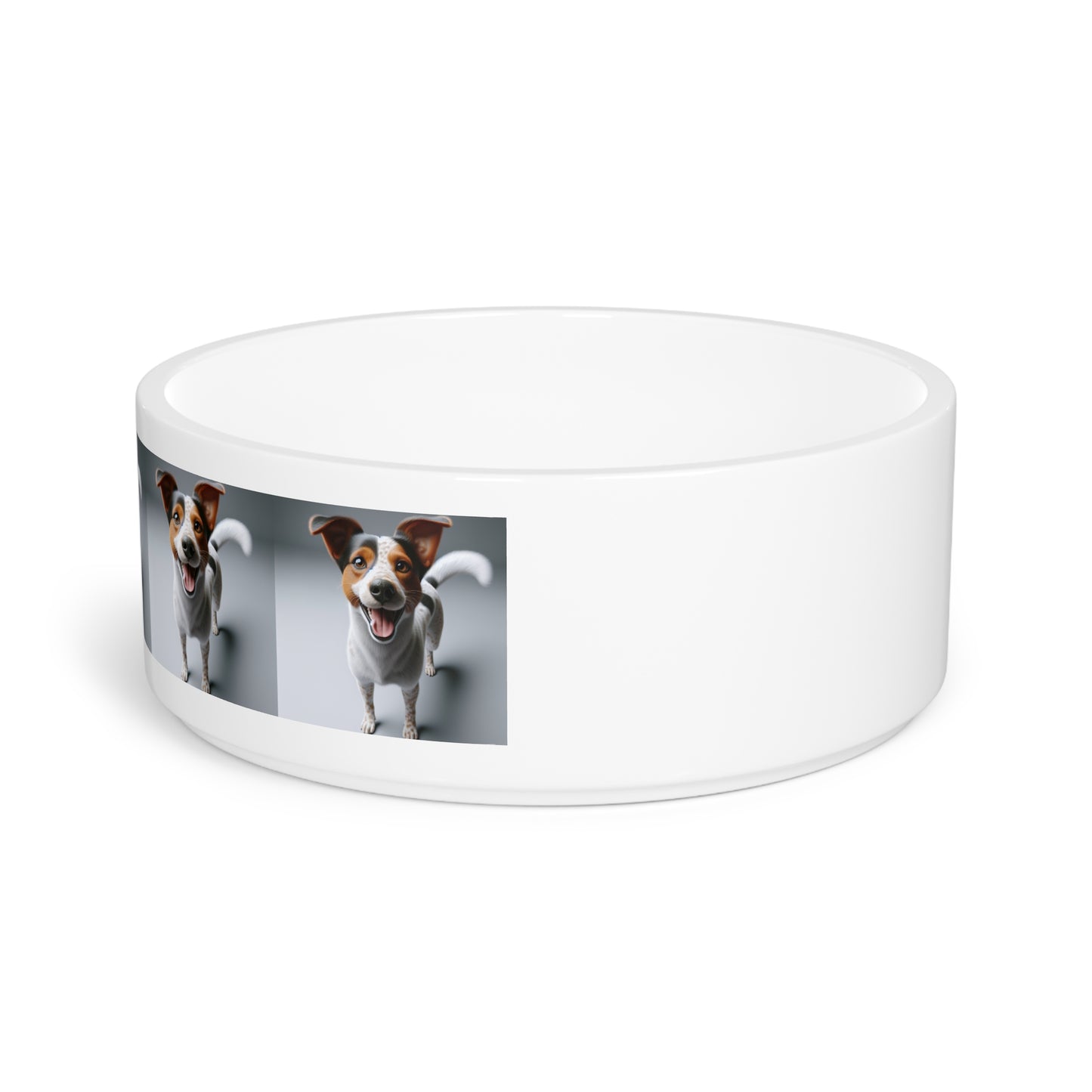 Kromfohrlander Pet Bowl