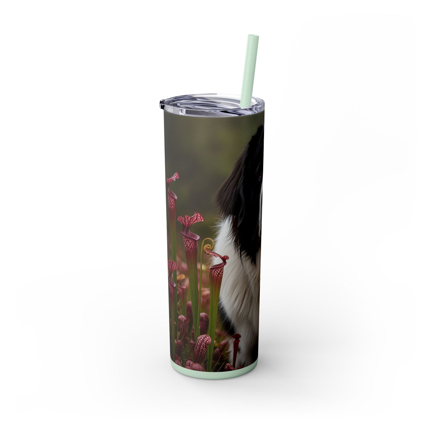 Landseer Tumbler with Straw, 20oz