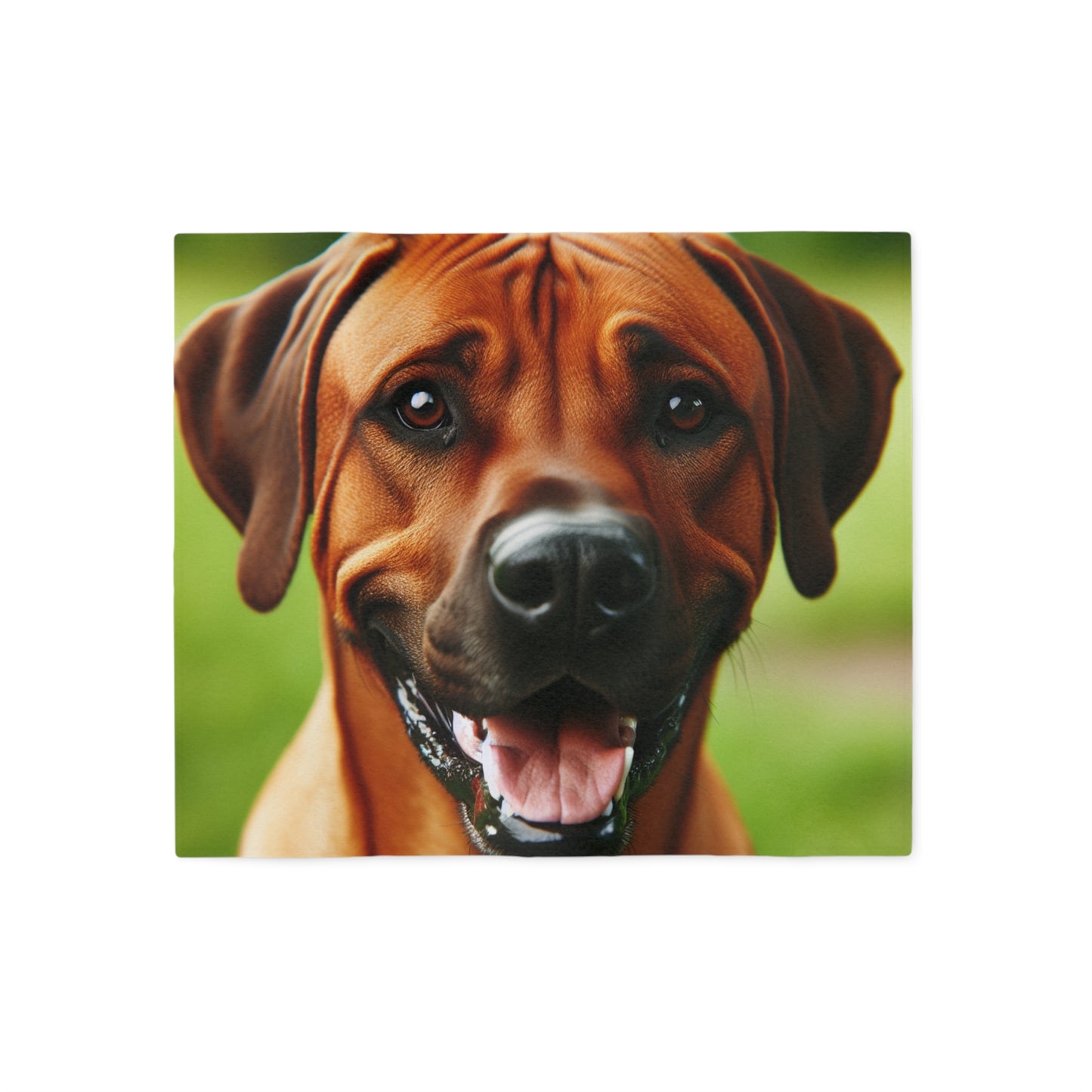 Rhodesian Ridgeback Sweatshirt Blanket