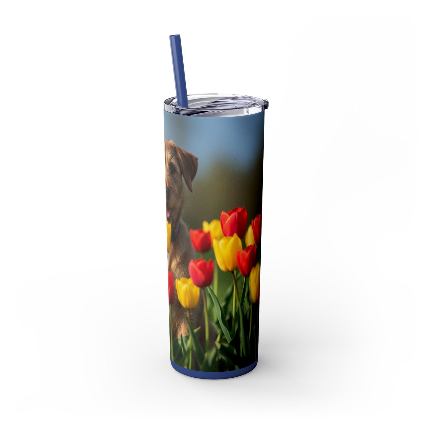 Pumi Skinny Tumbler with Straw, 20oz