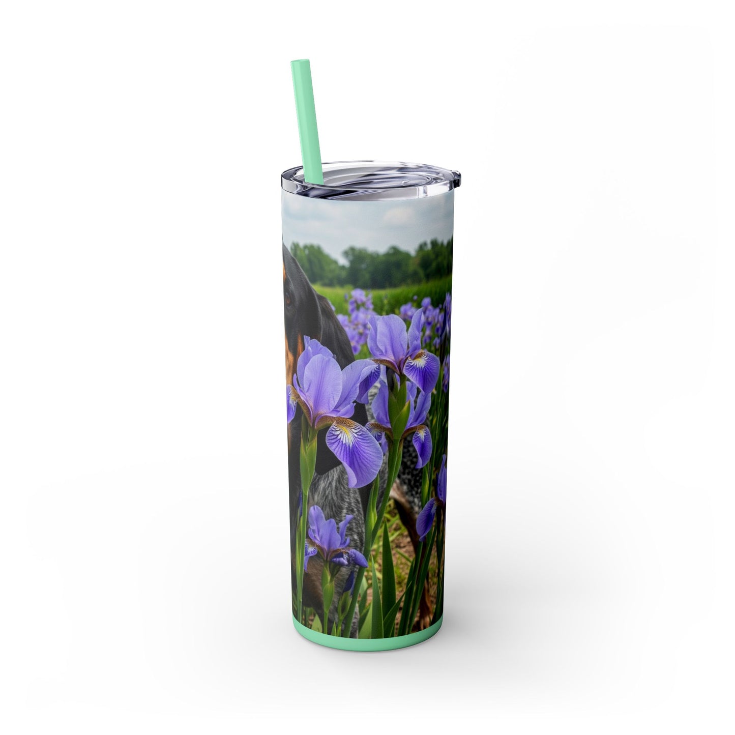 Bluetick Coonhound Tumbler with Straw, 20oz