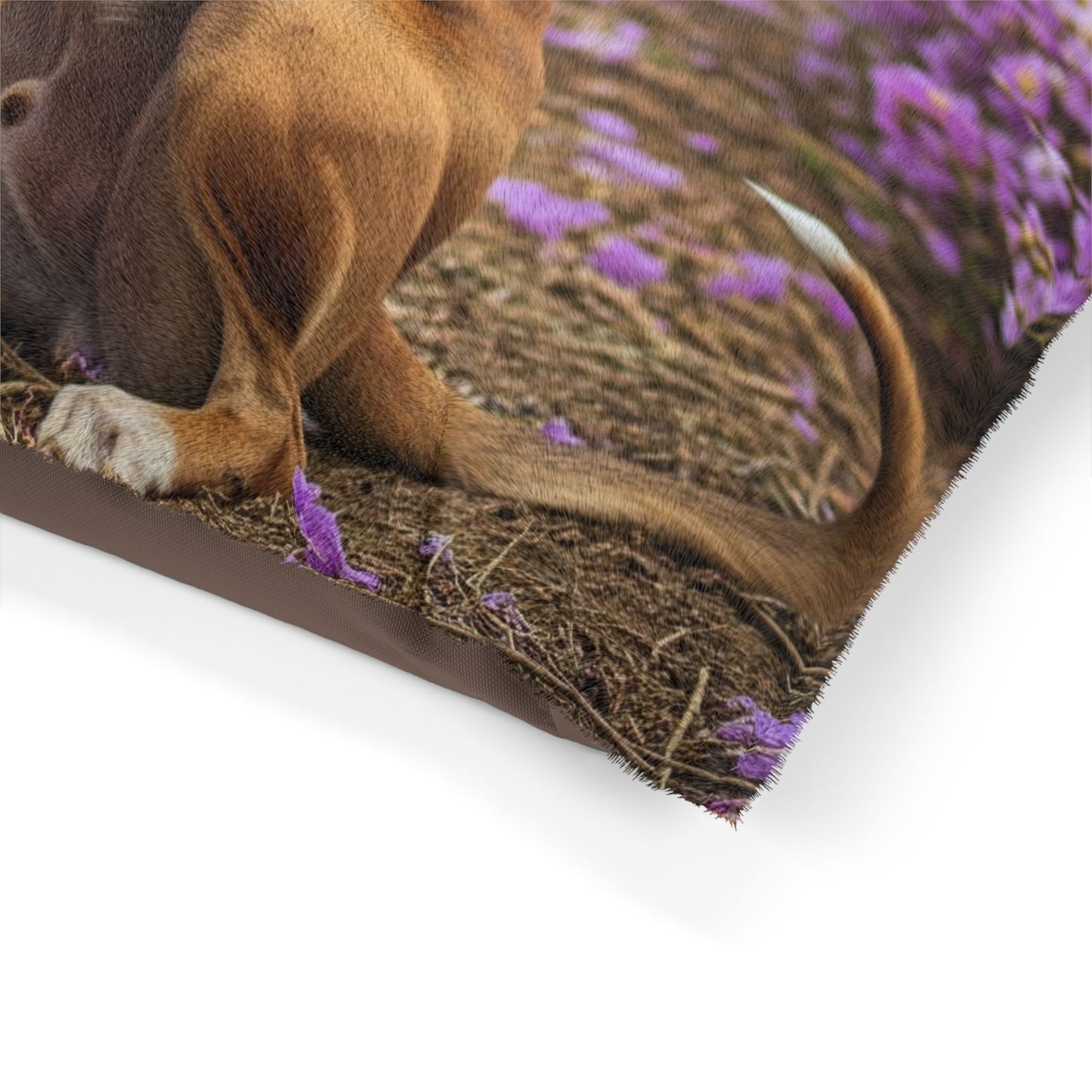 Banjara Hound Pet Bed
