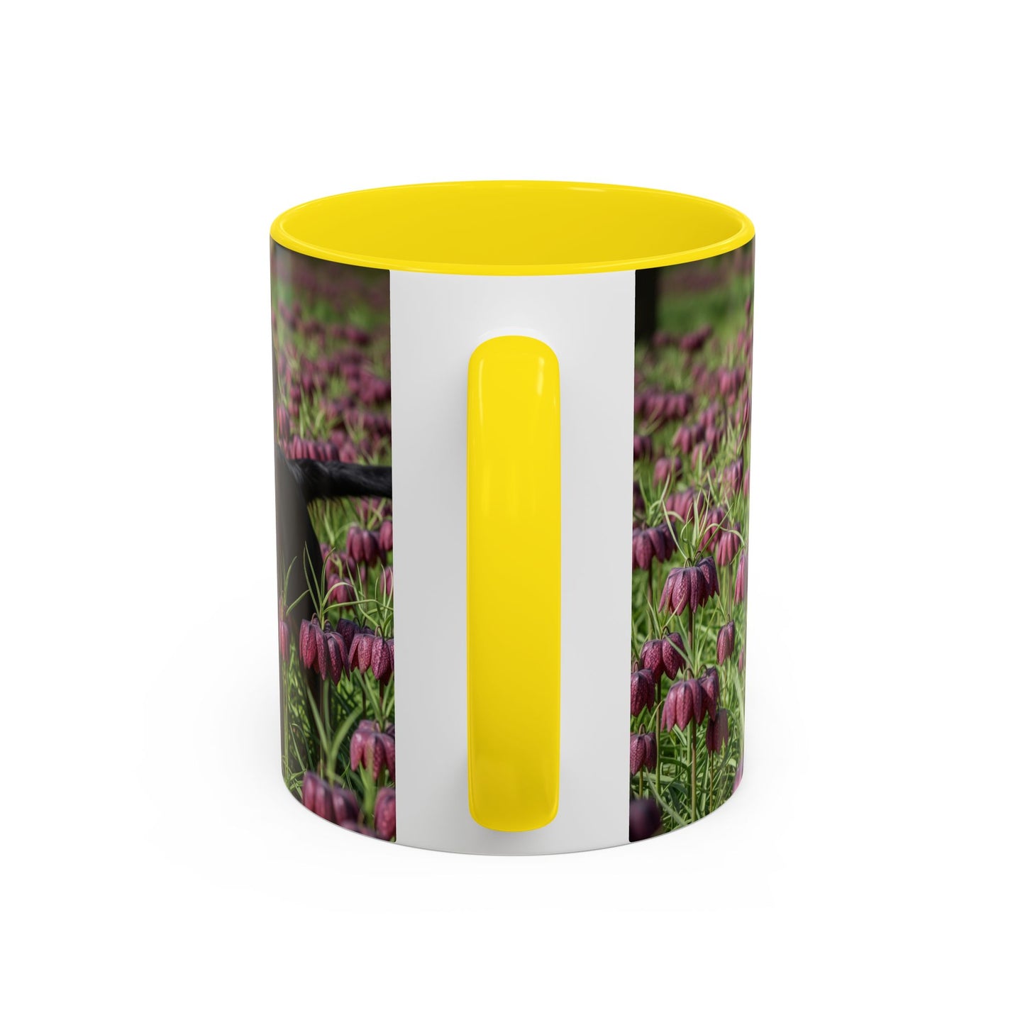 Wetterhoun Accent Coffee Mug - Perfect Gift for Dog Lovers