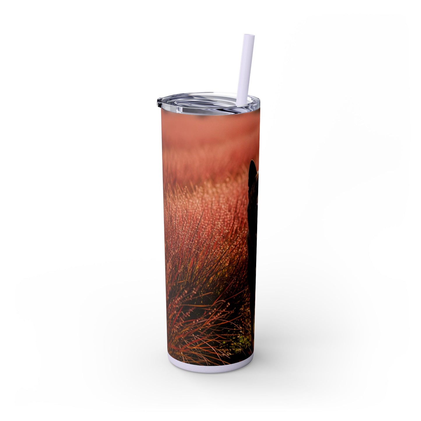 Kai Ken Tumbler with Straw, 20oz