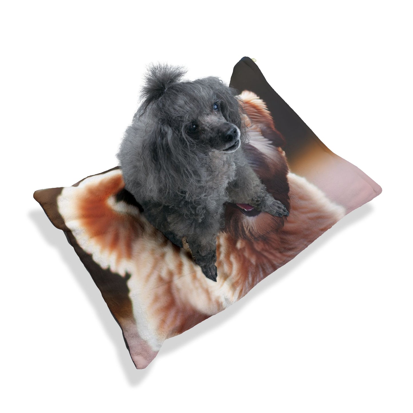 Soft Coated Wheaten Terrier Pet Bed
